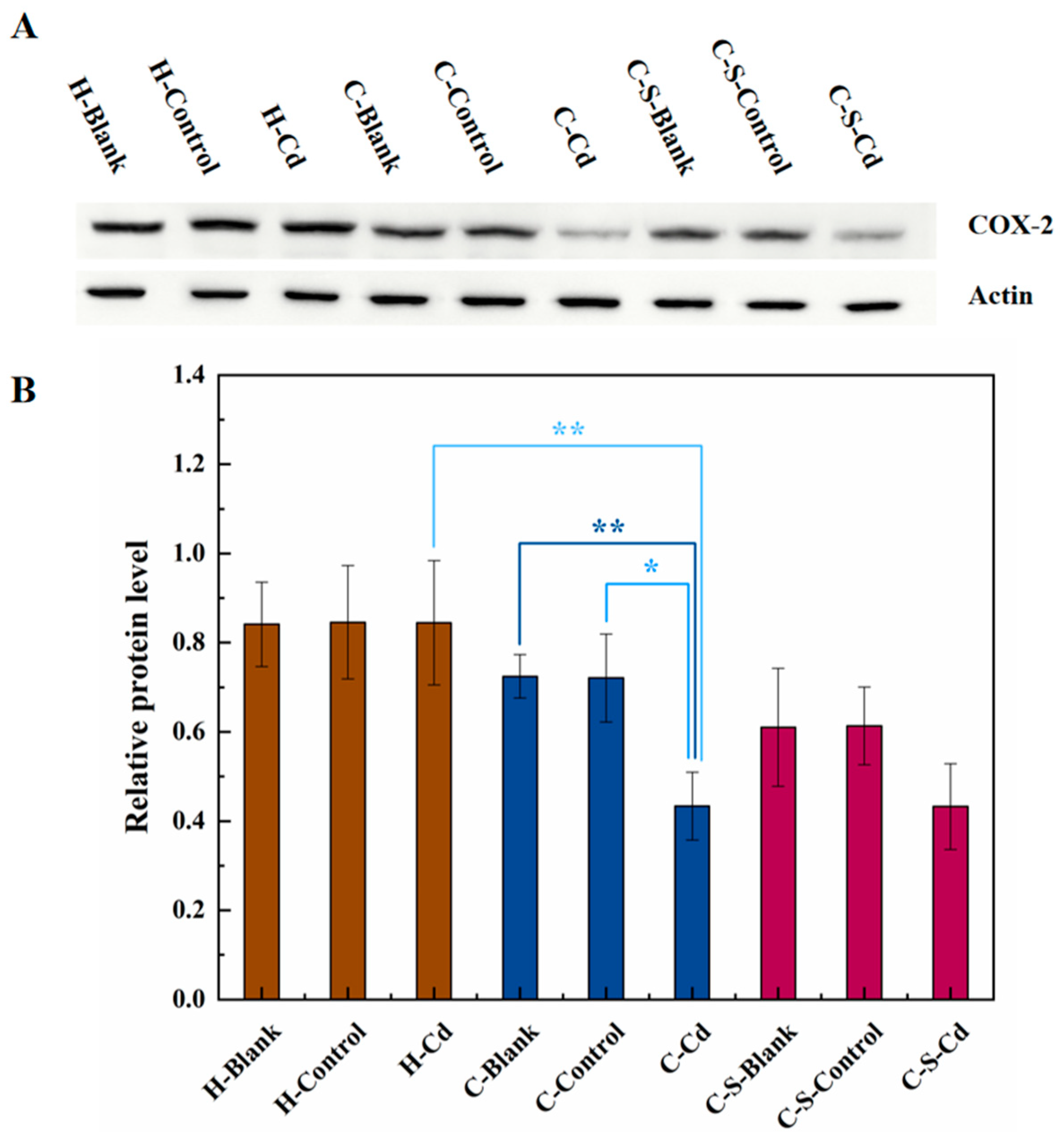 Preprints 95666 g010