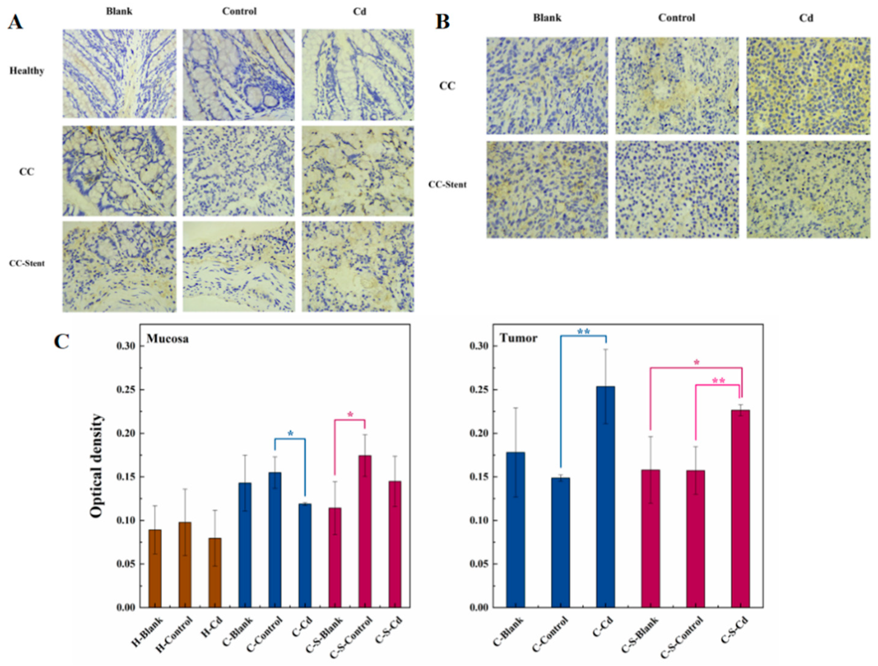 Preprints 95666 g011