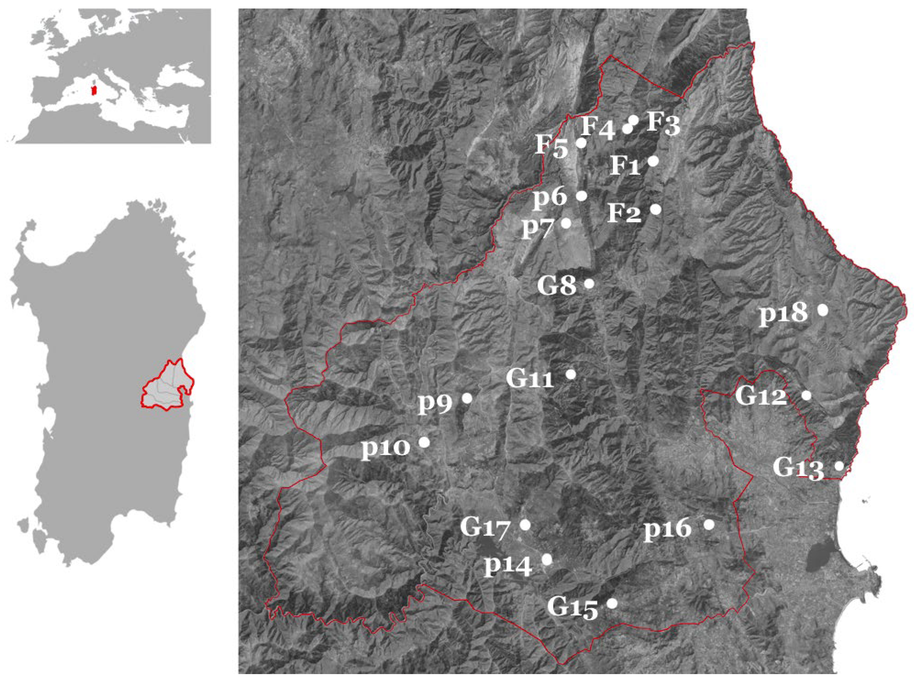 Preprints 95767 g002