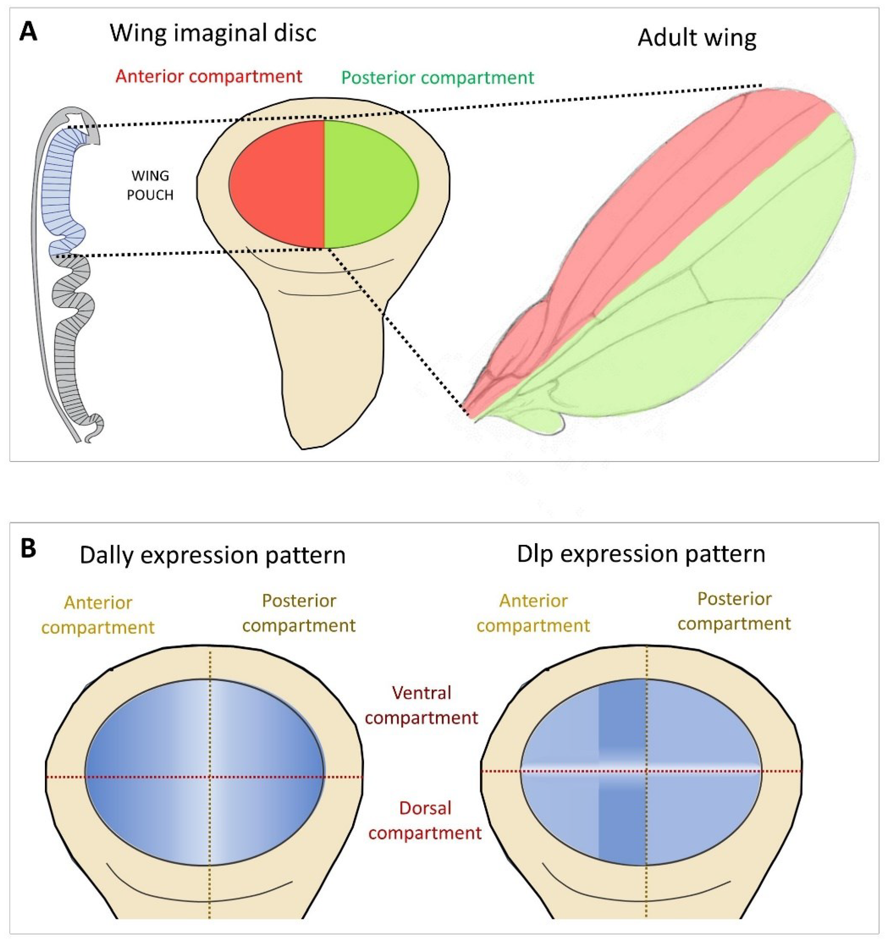 Preprints 97933 g002