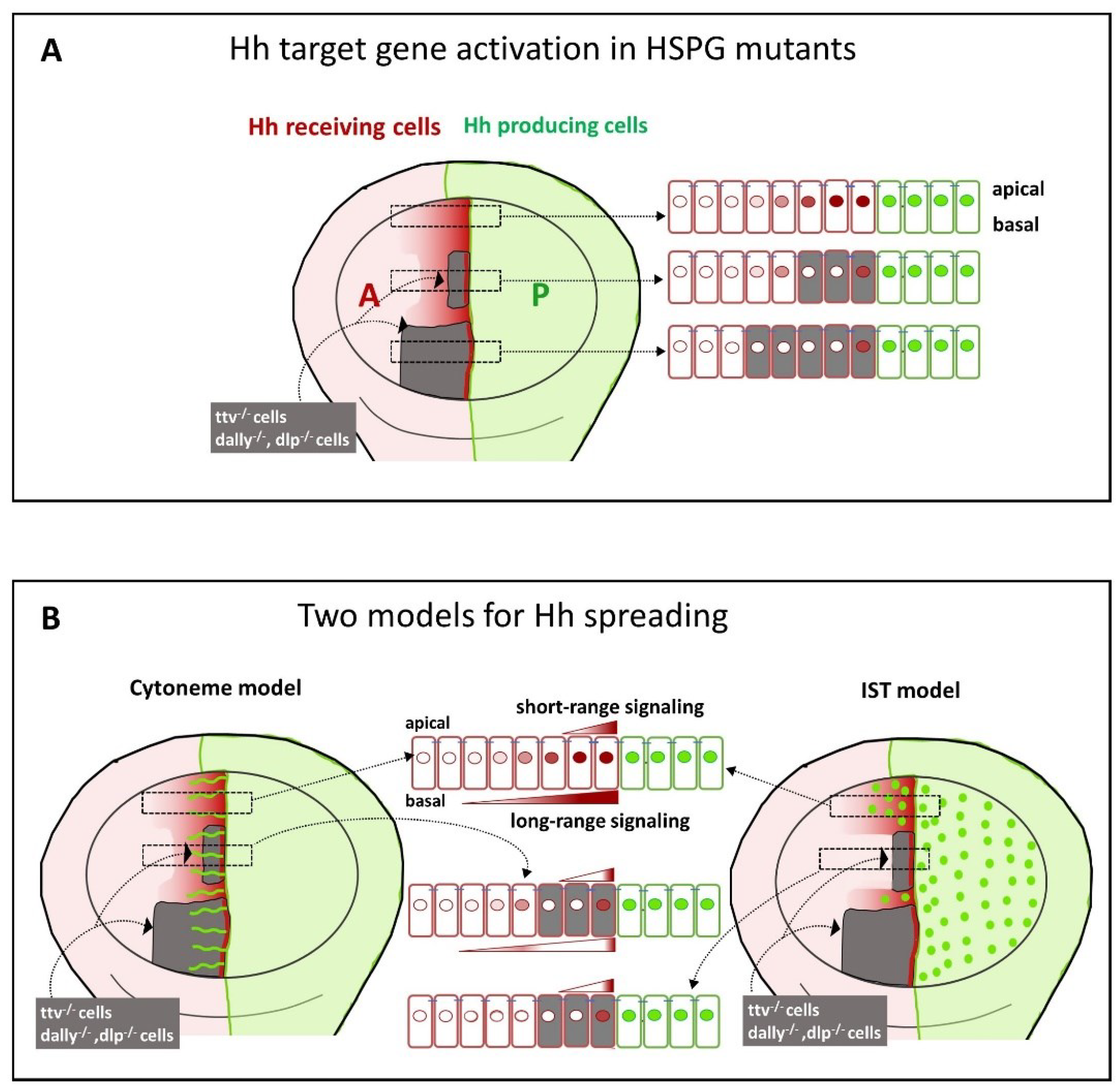 Preprints 97933 g004