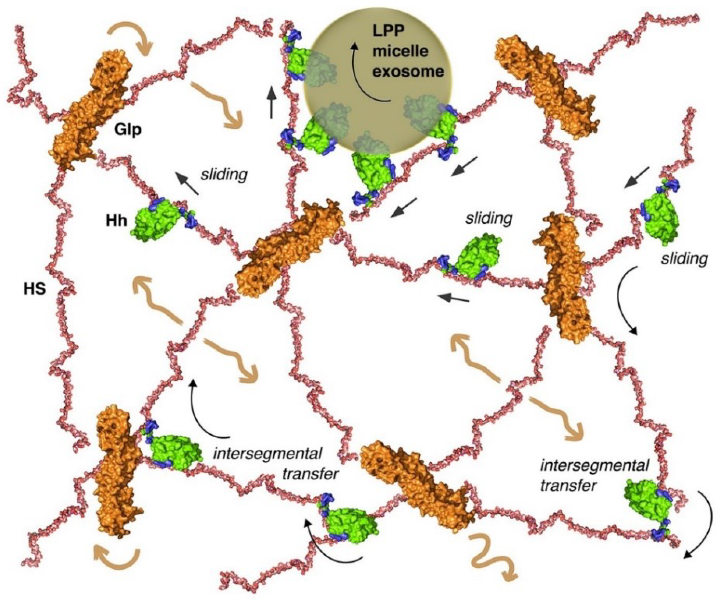 Preprints 97933 g005