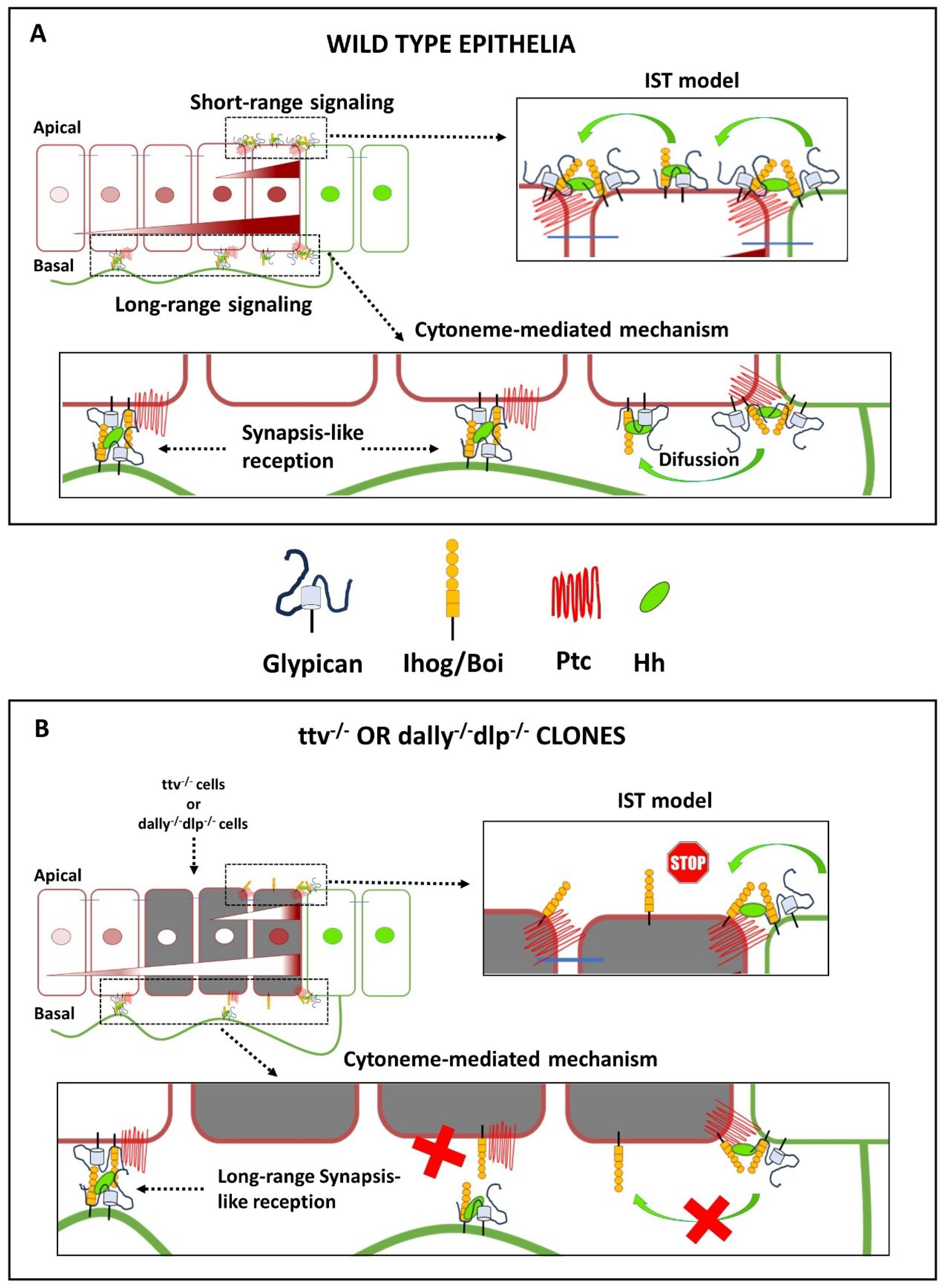 Preprints 97933 g006