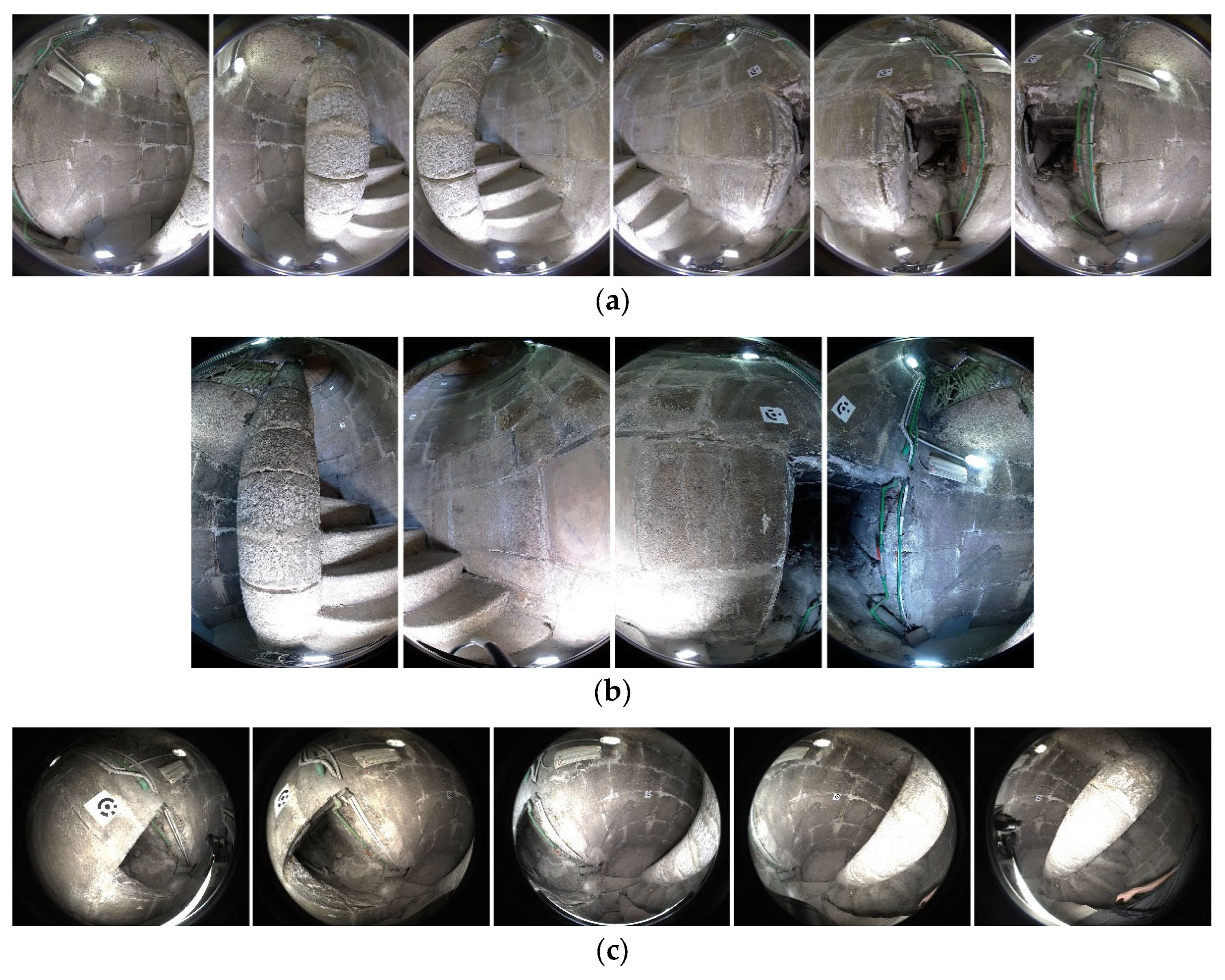 Preprints 120957 g005