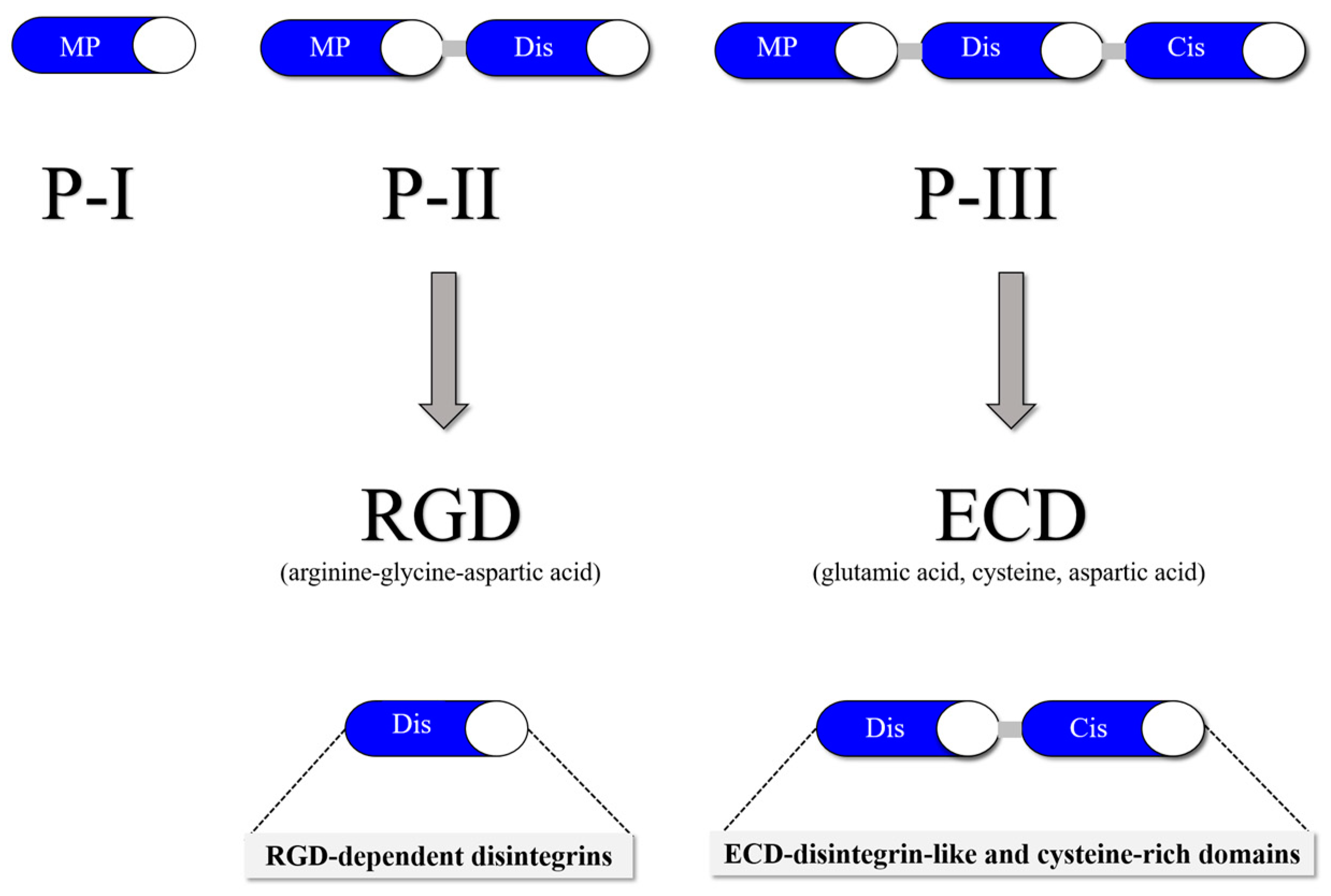 Preprints 93012 g002