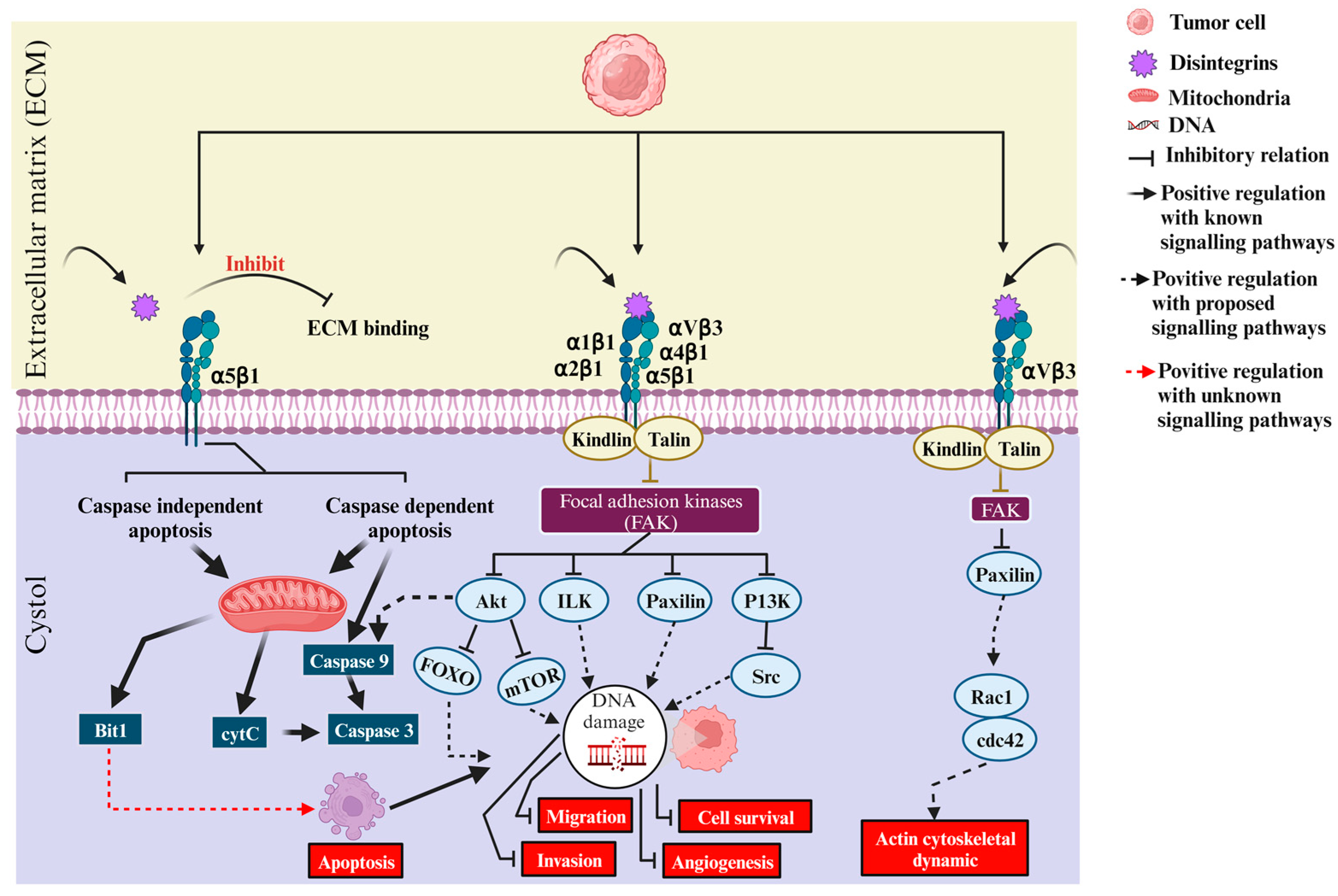 Preprints 93012 g003