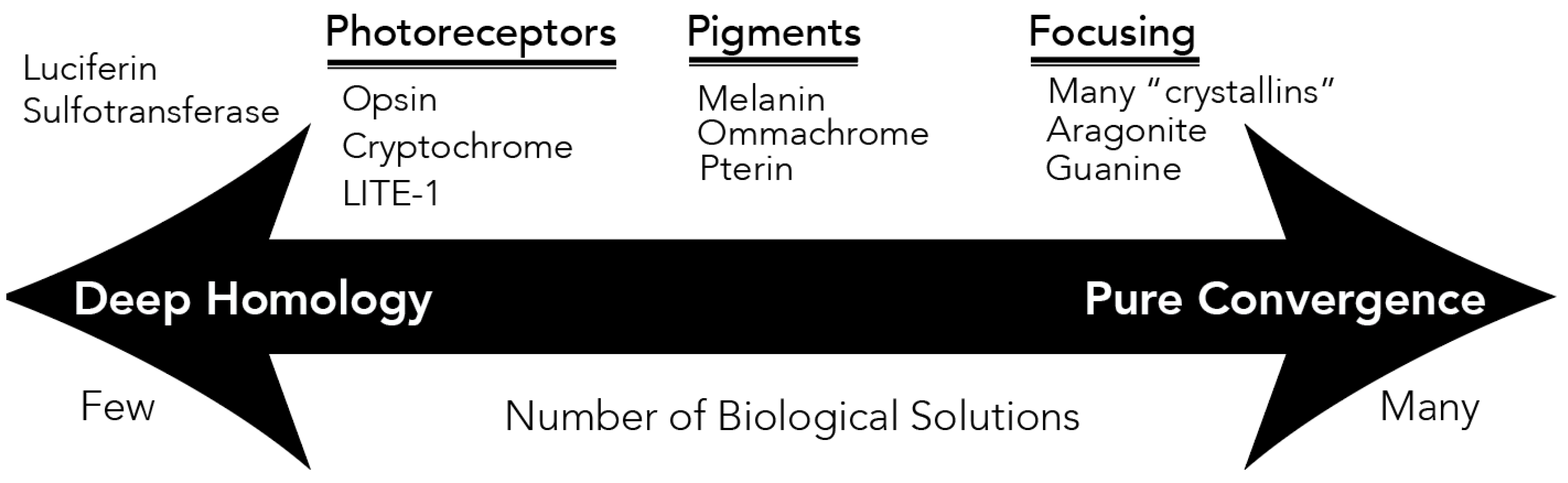 Preprints 104253 g001