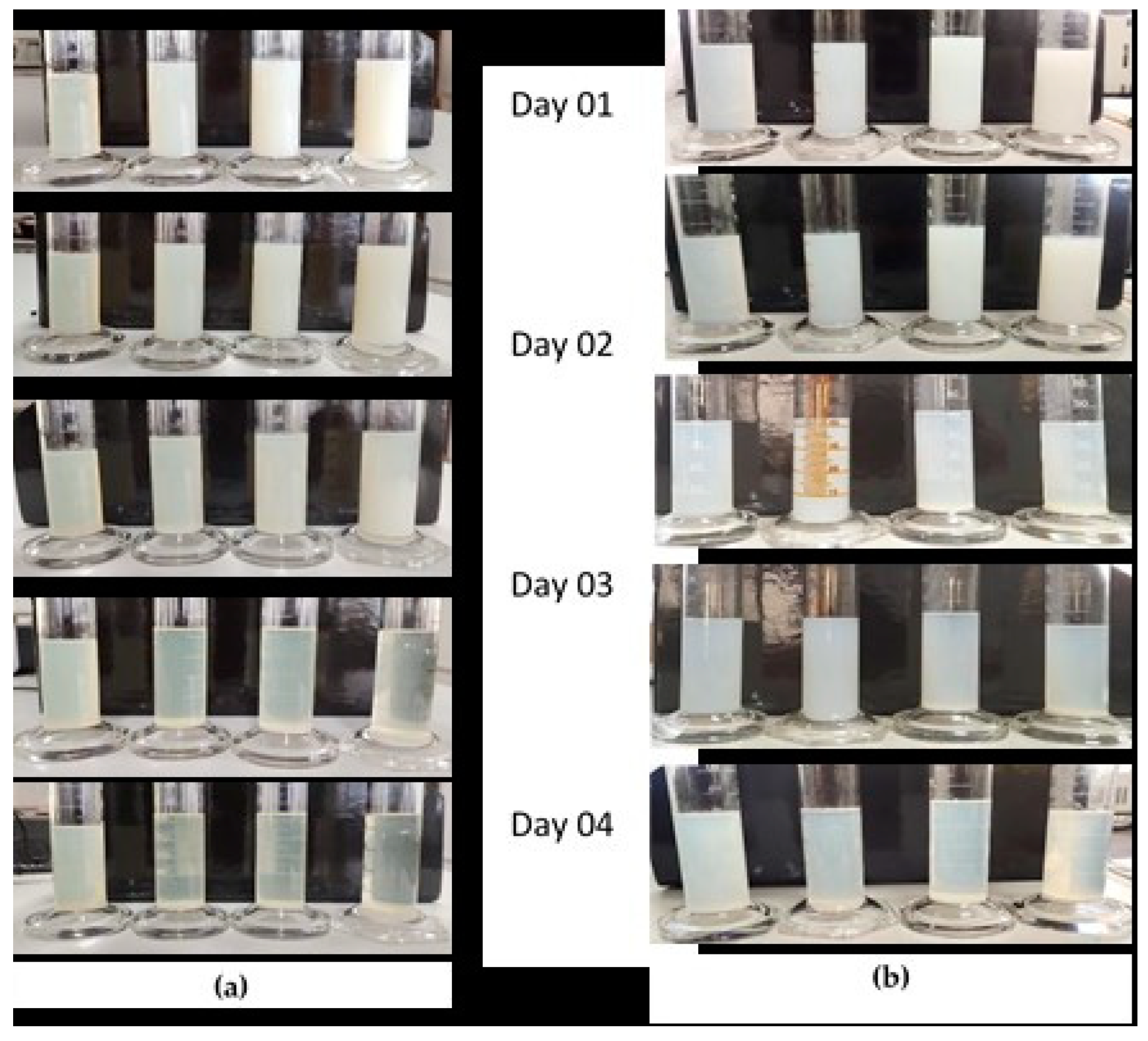 Preprints 85997 g004