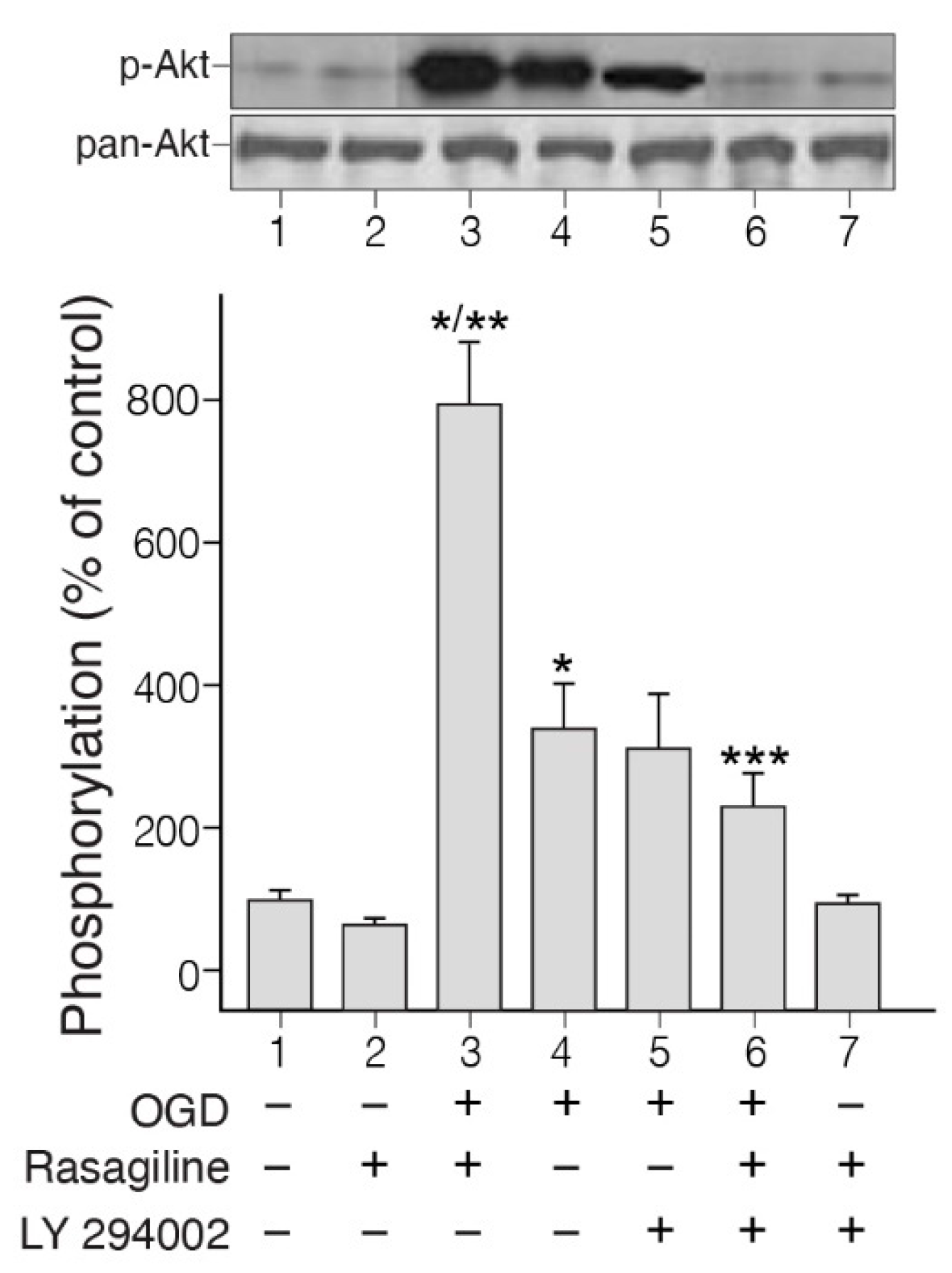 Preprints 110528 g002