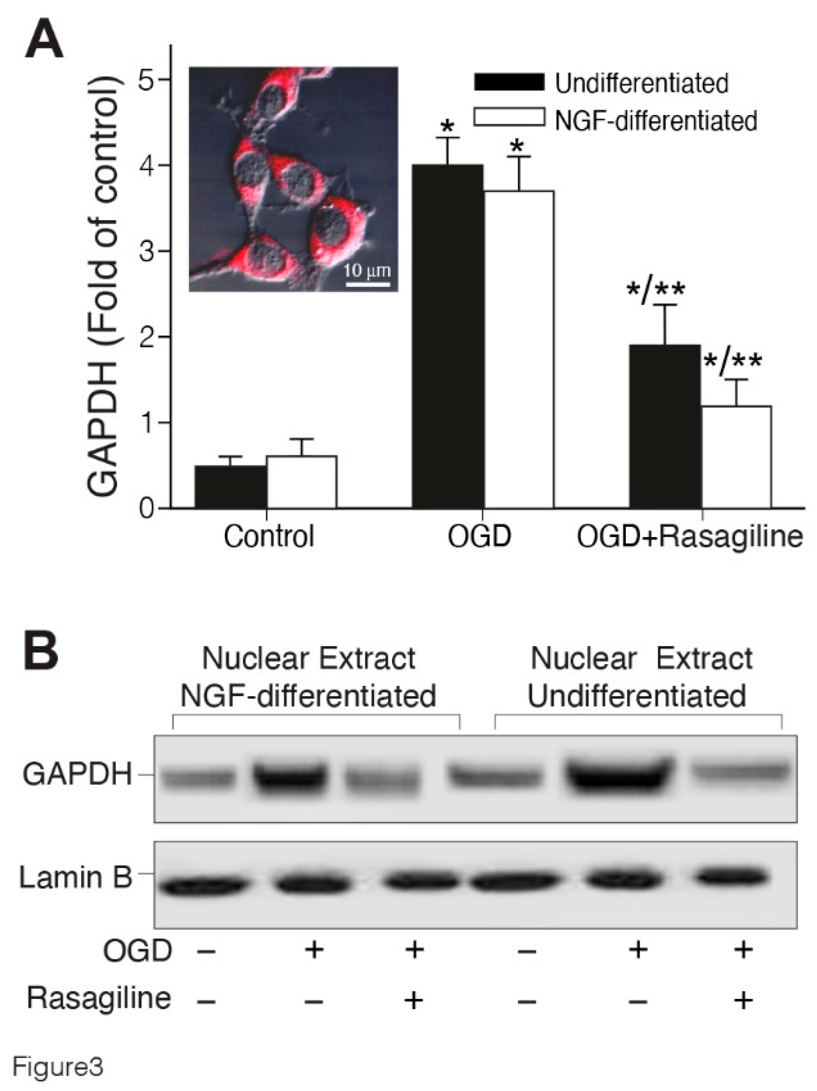 Preprints 110528 g003