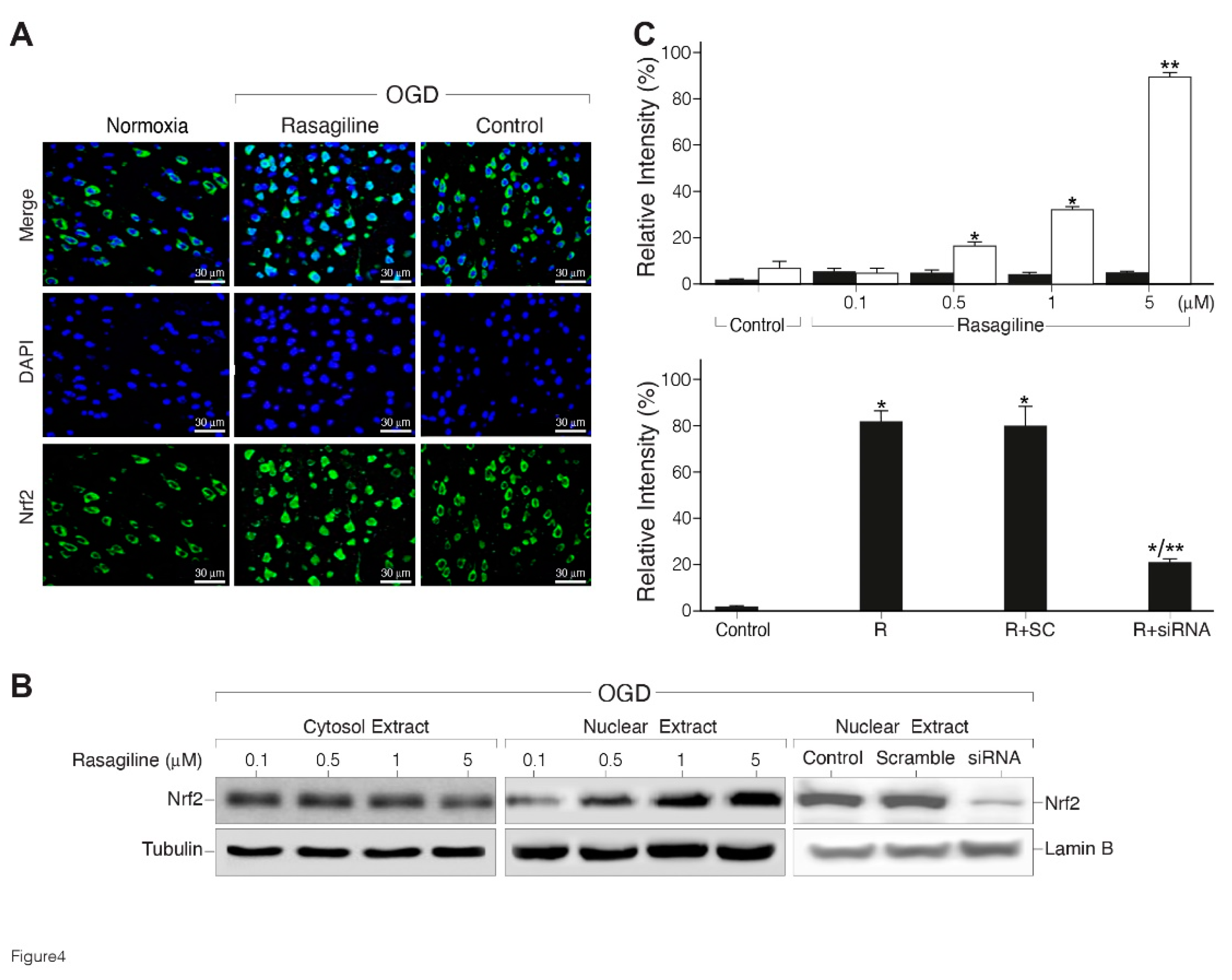 Preprints 110528 g004