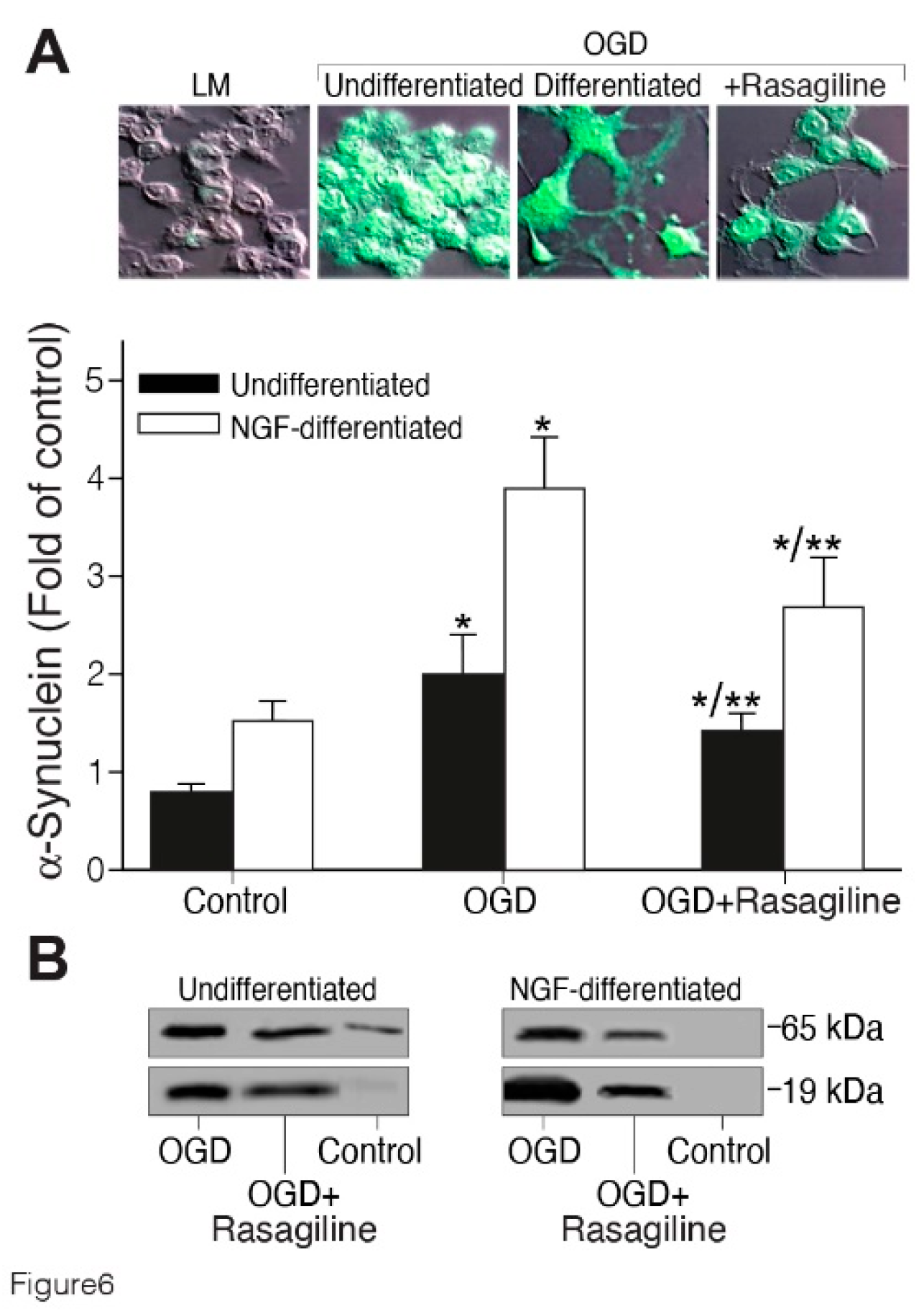 Preprints 110528 g006