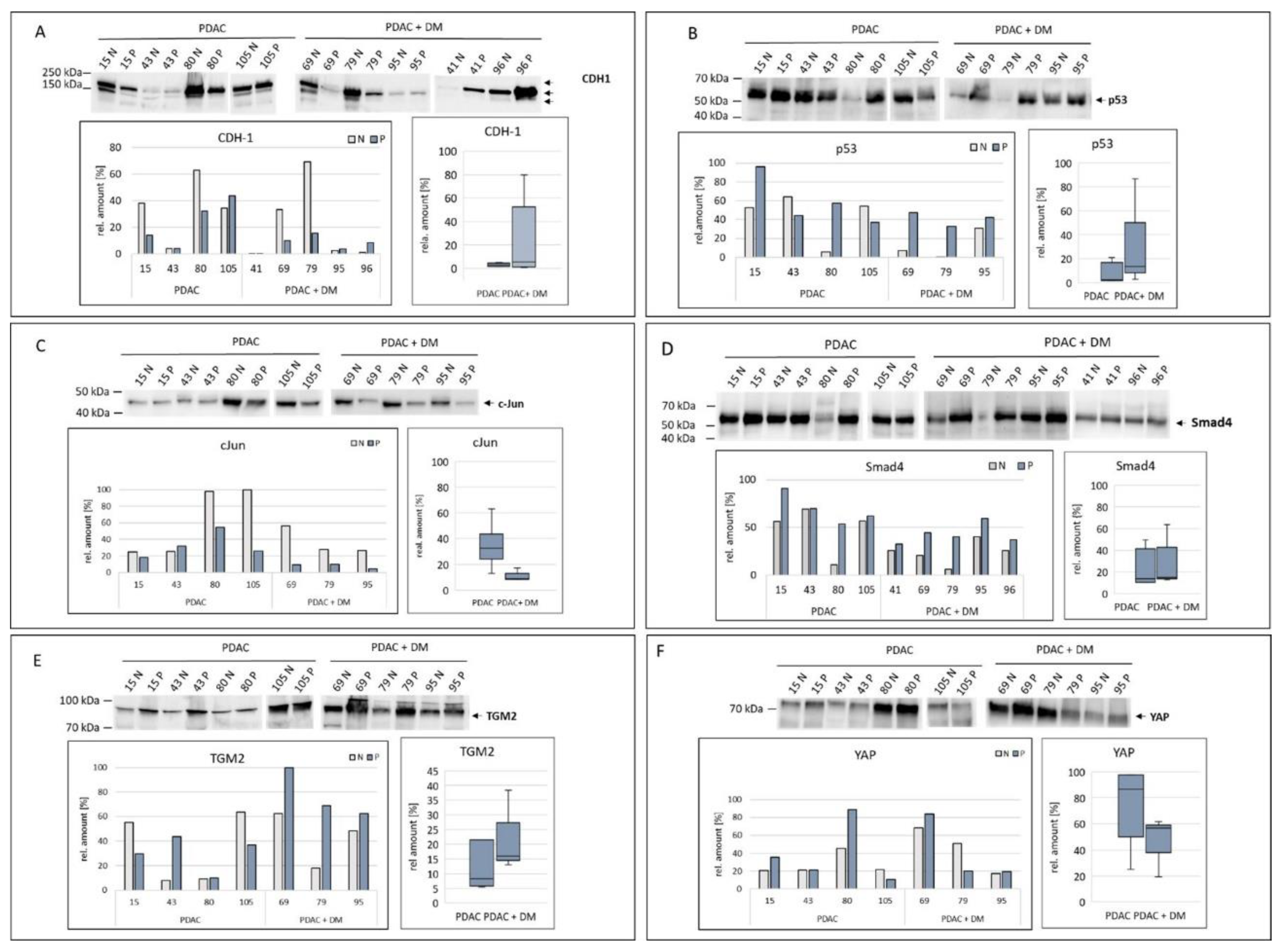 Preprints 110245 g005