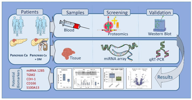 Preprints 110245 i001