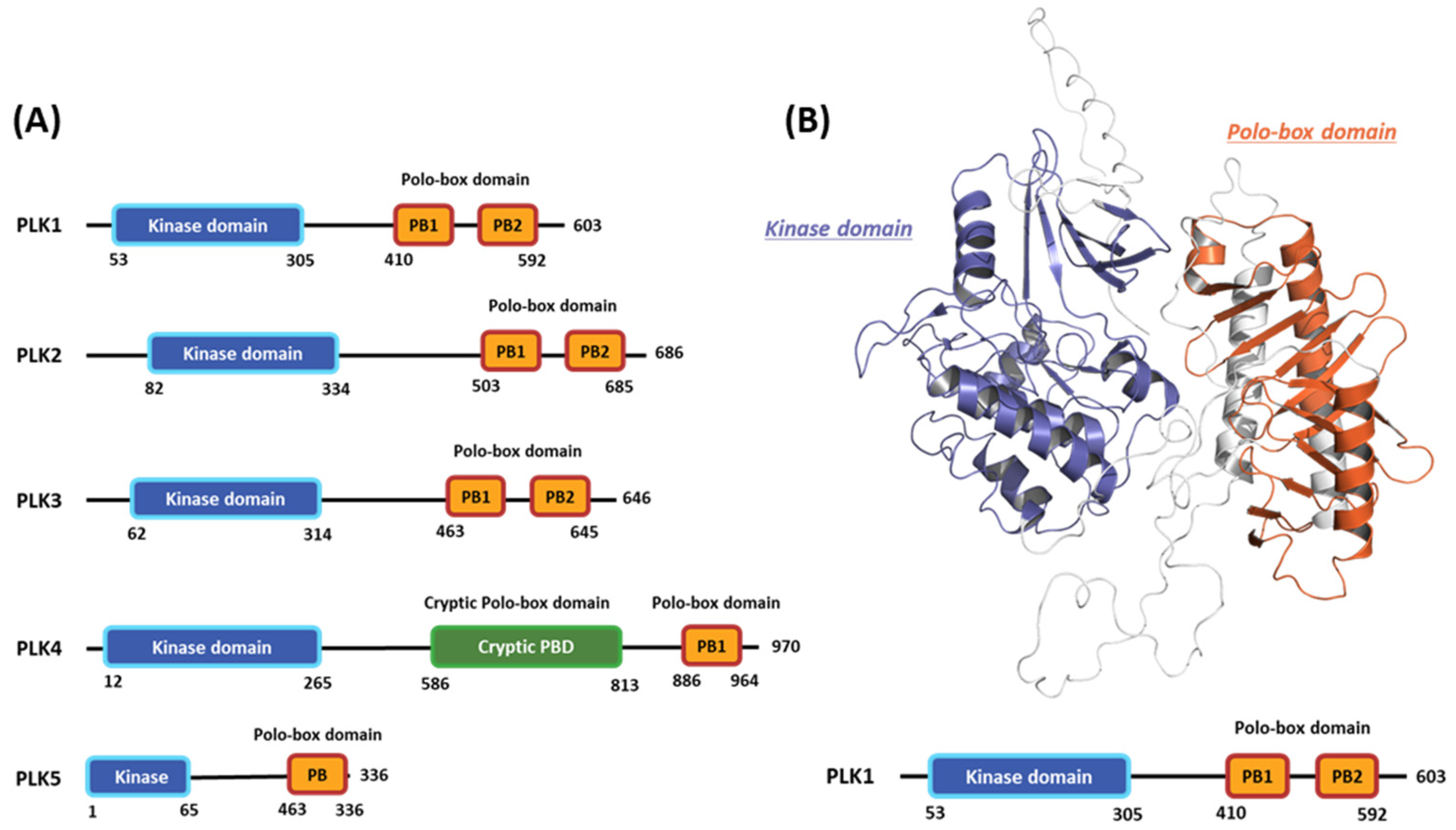 Preprints 85379 g001