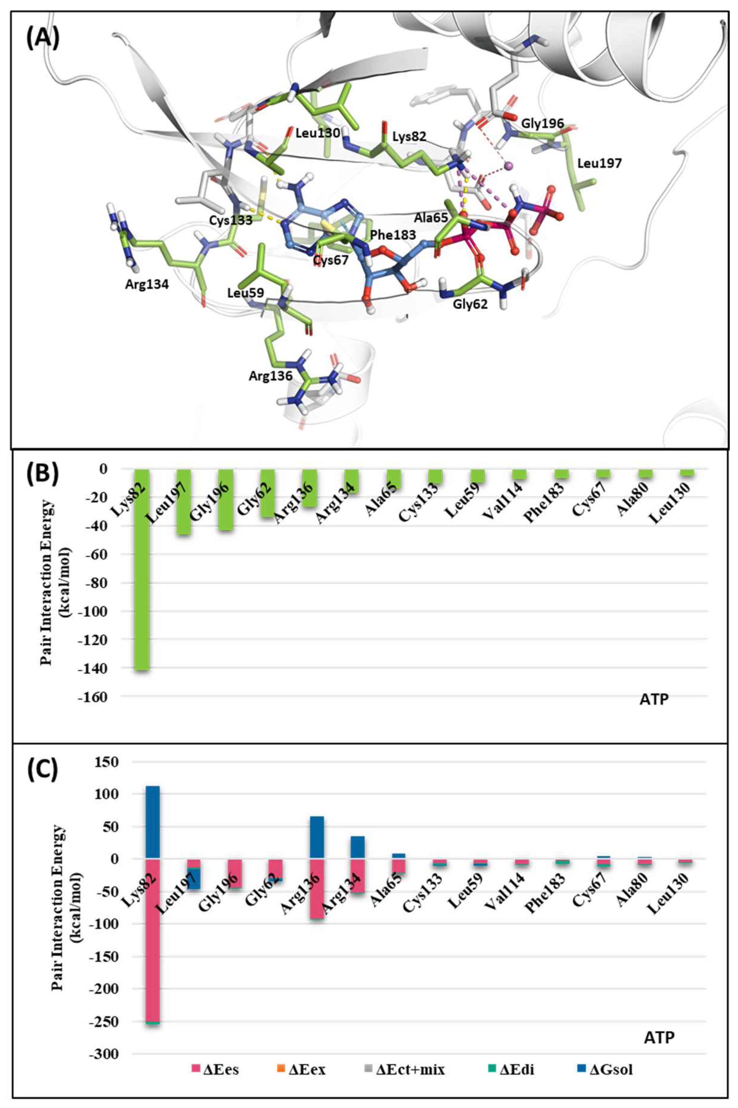 Preprints 85379 g004