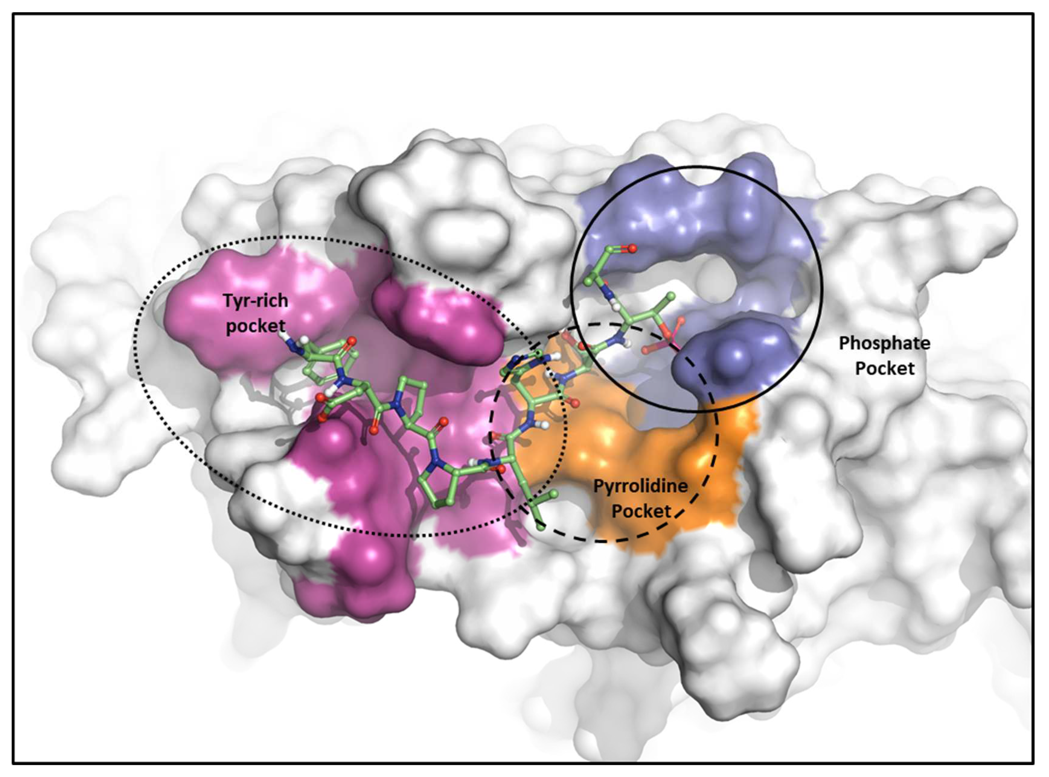 Preprints 85379 g010