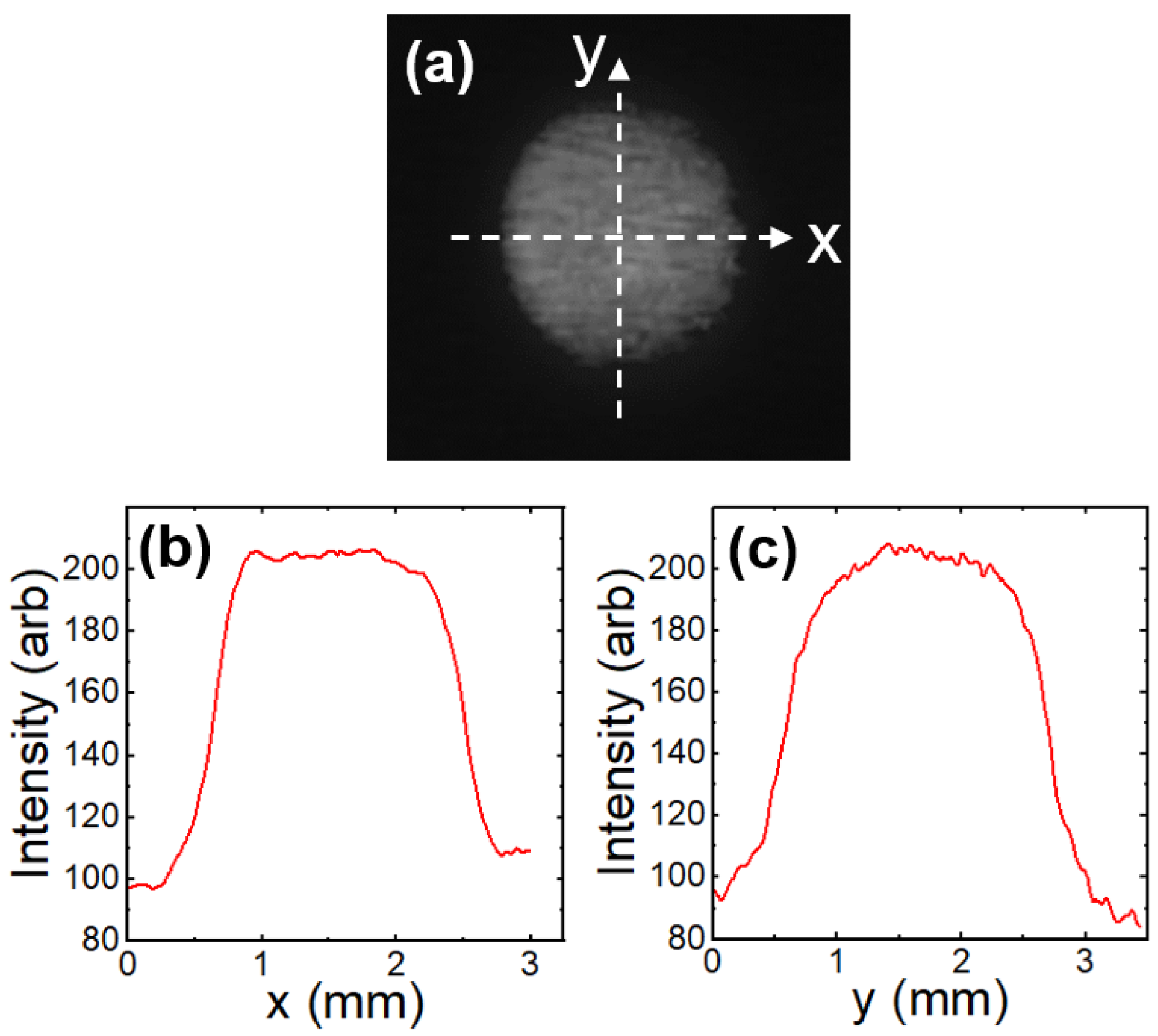 Preprints 114634 g004