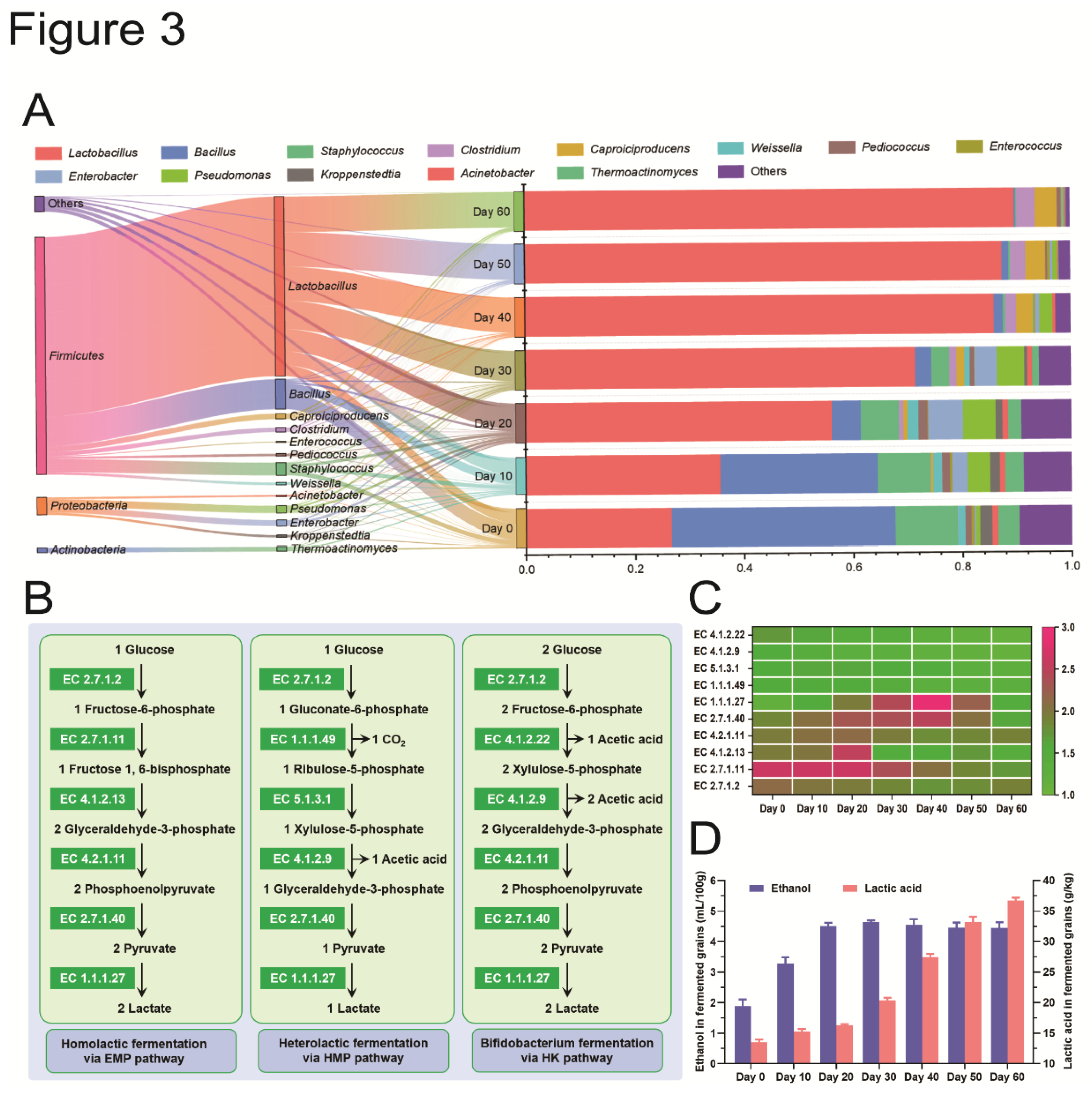 Preprints 116620 g003