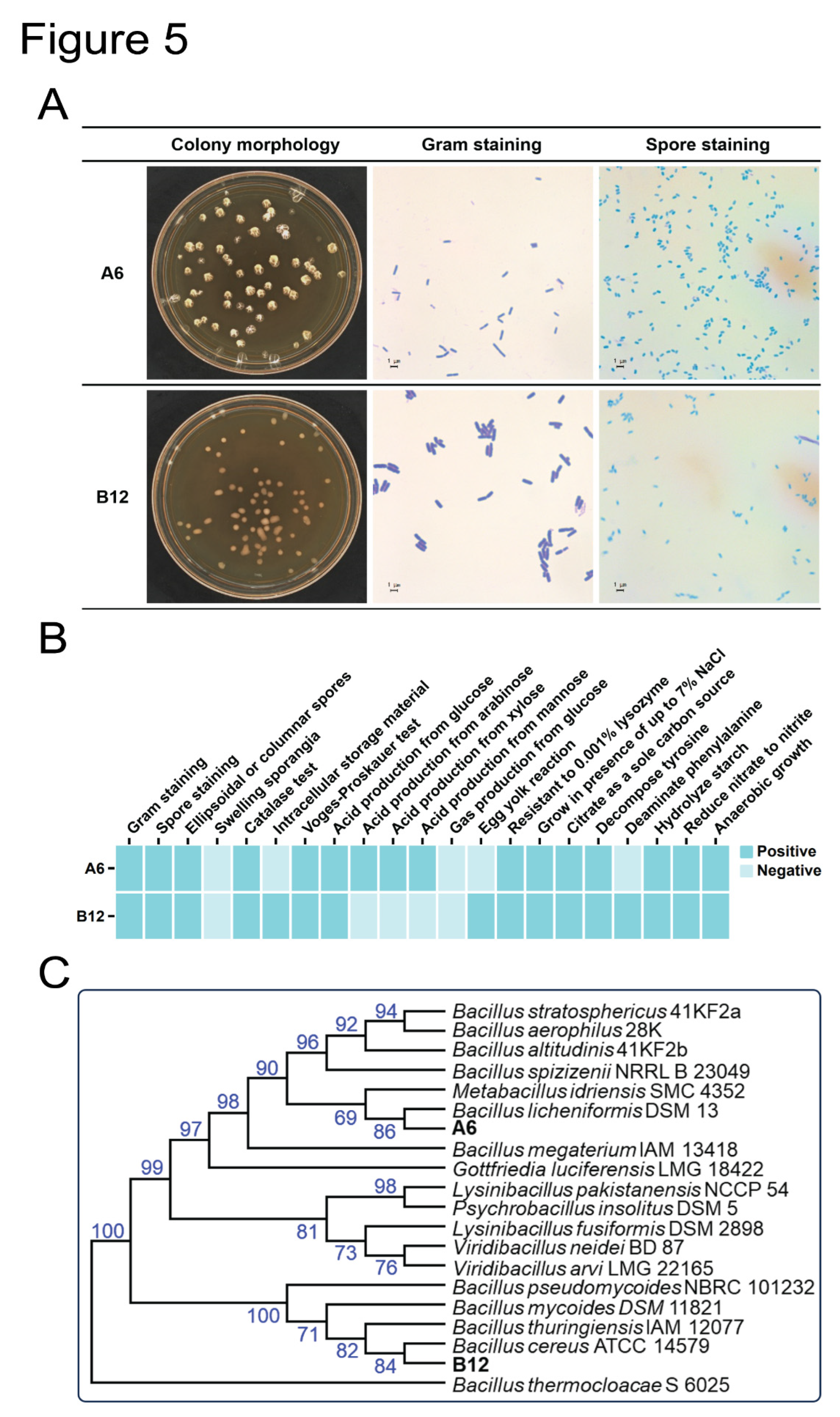 Preprints 116620 g005