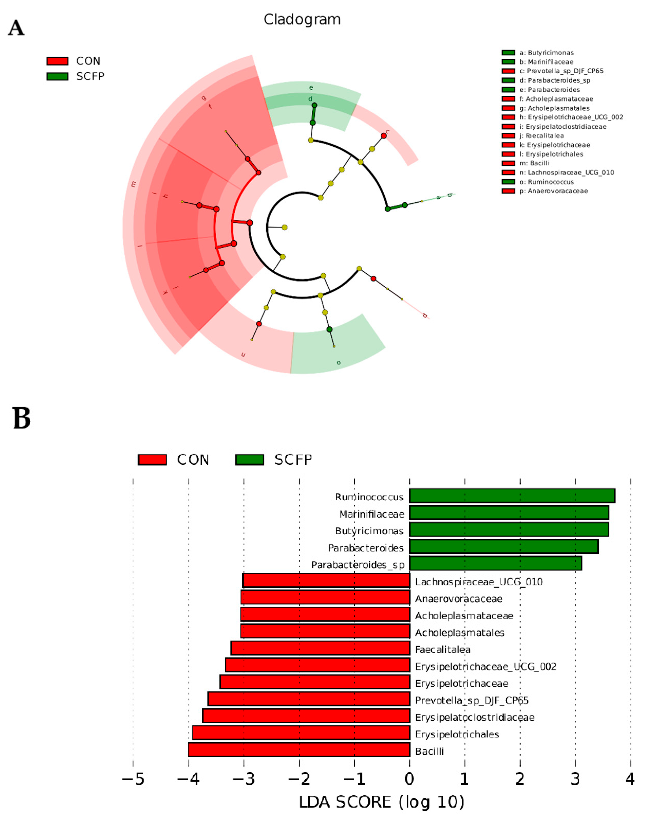 Preprints 88315 g004