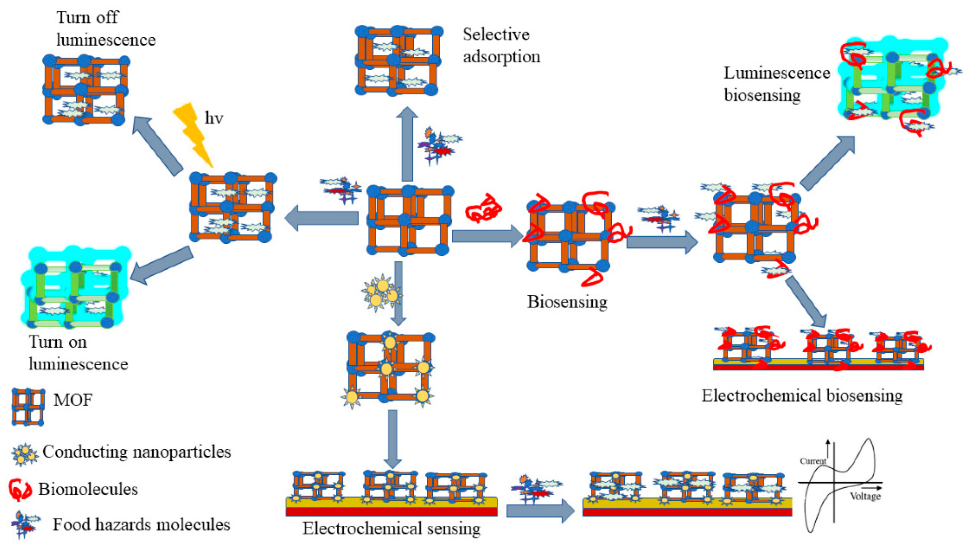 Preprints 115333 g012