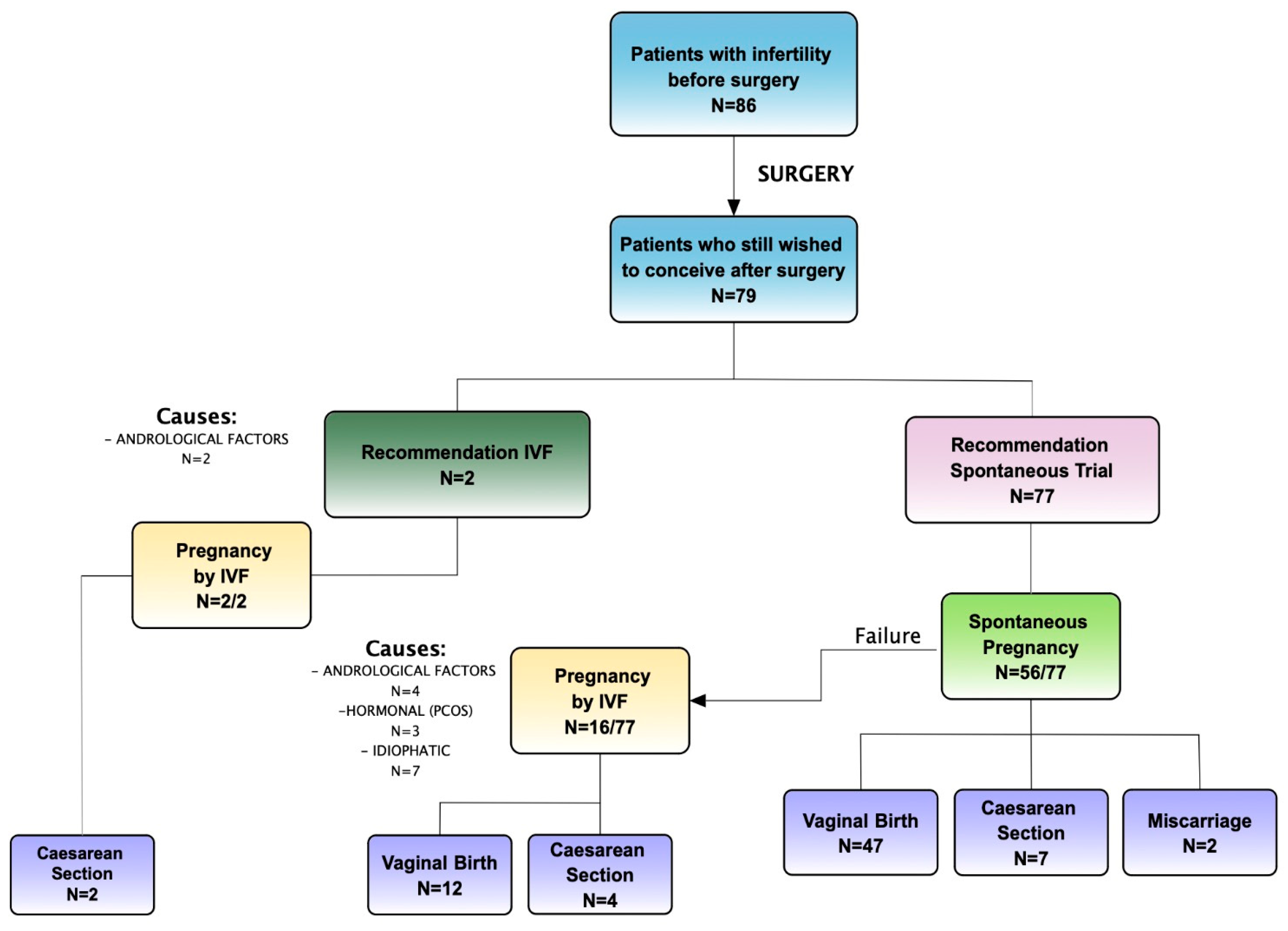 Preprints 100143 g003