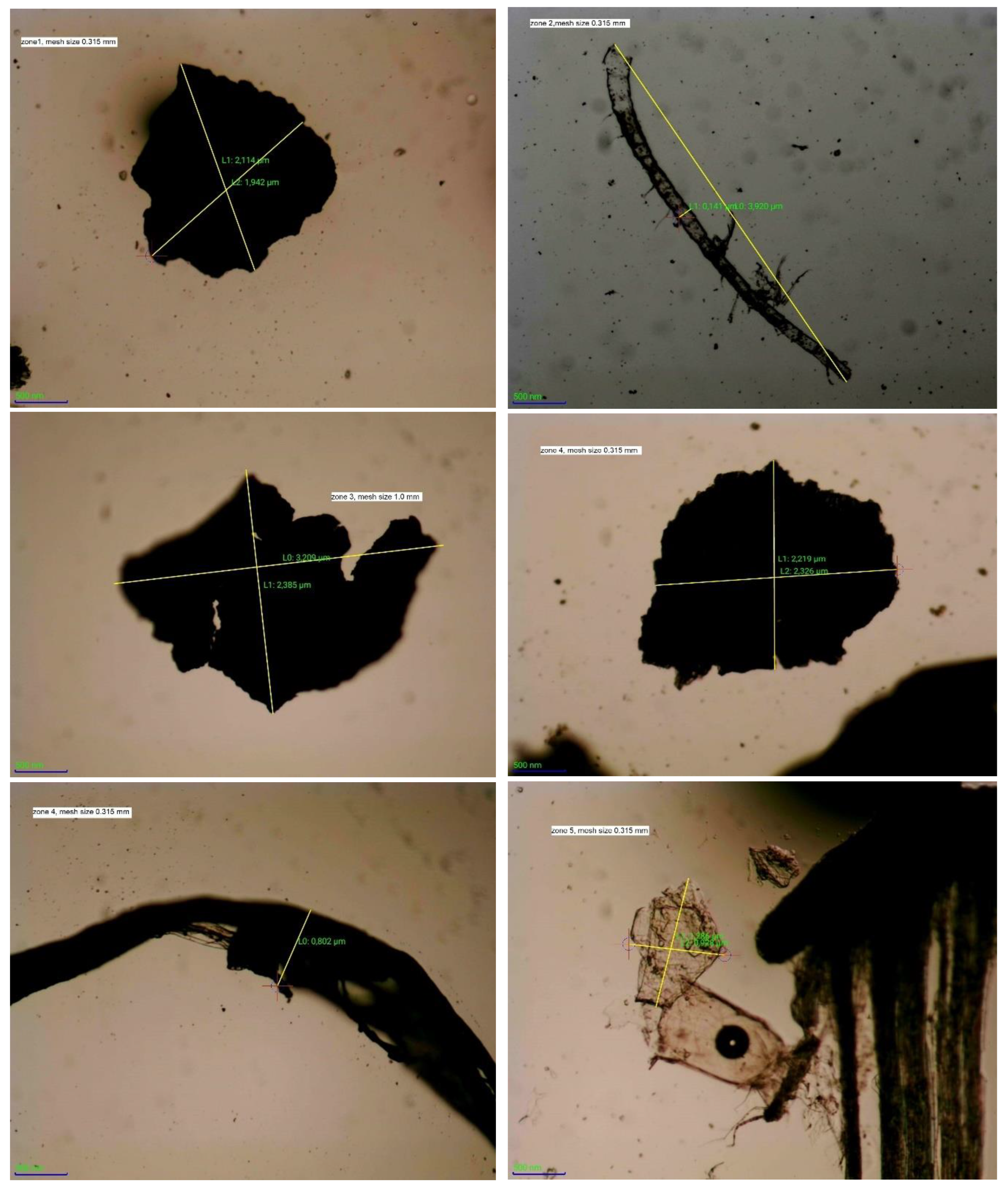 Preprints 84895 g006