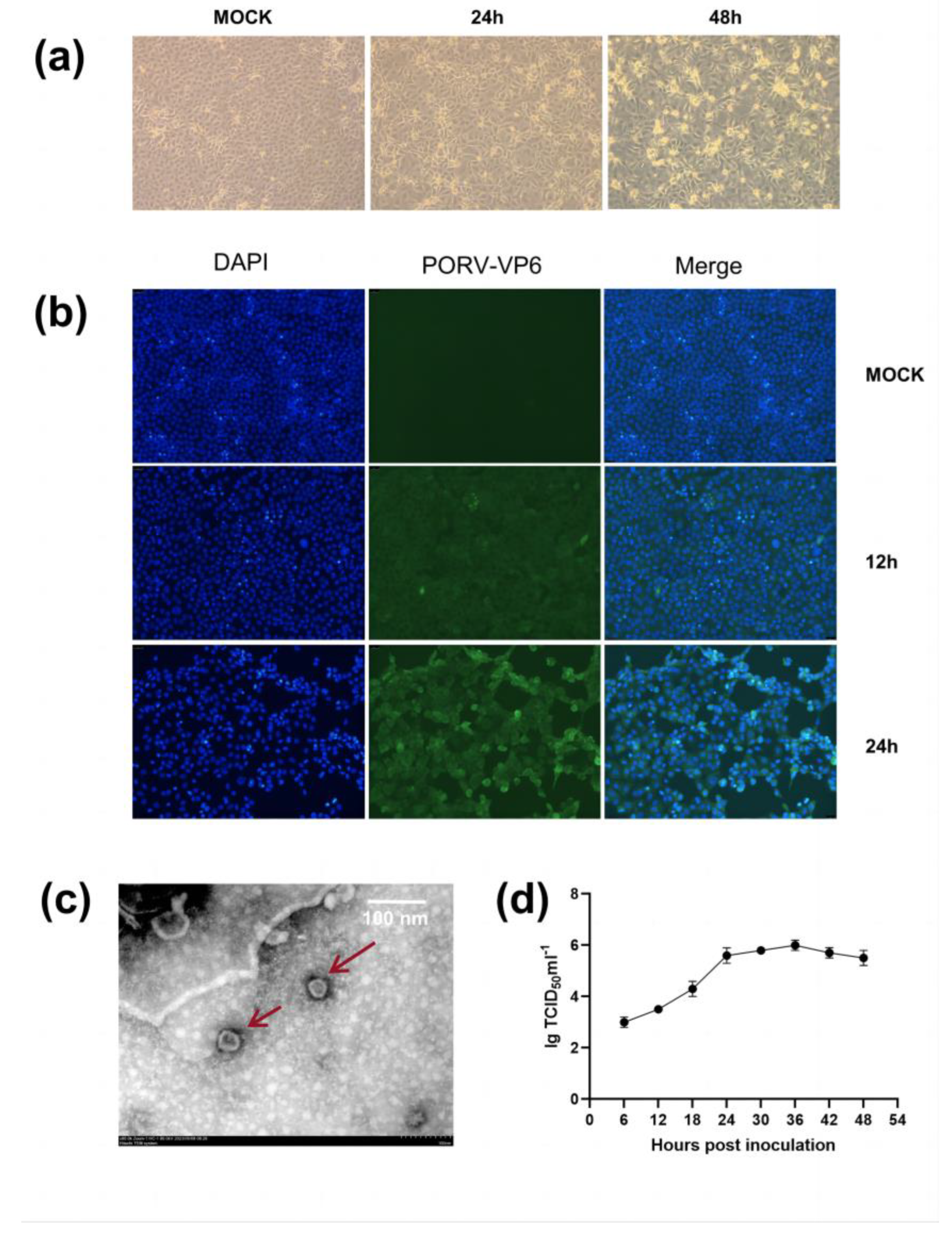 Preprints 89535 g001