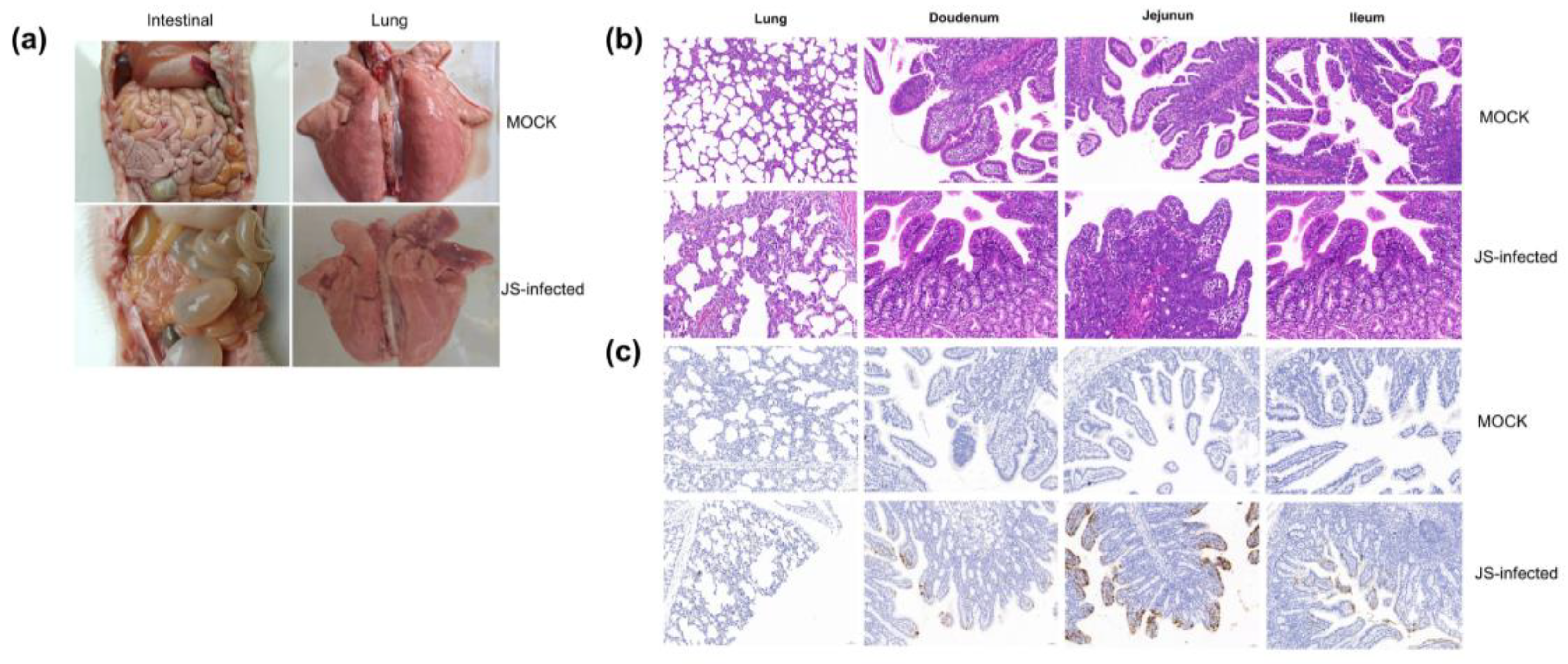 Preprints 89535 g004