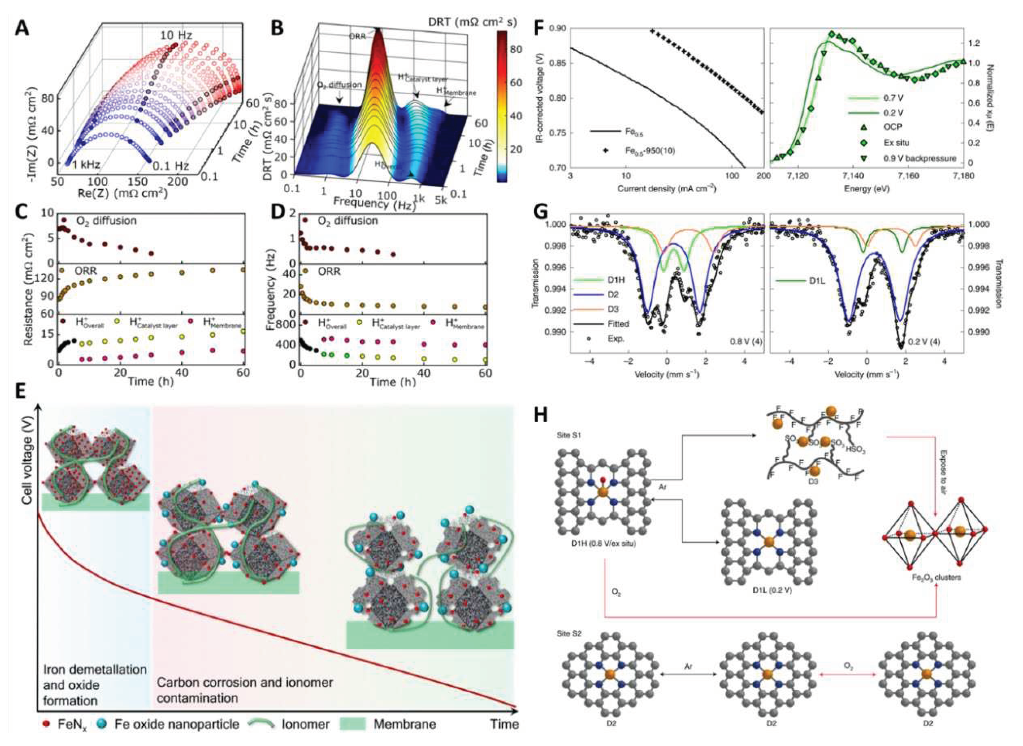 Preprints 96092 g003