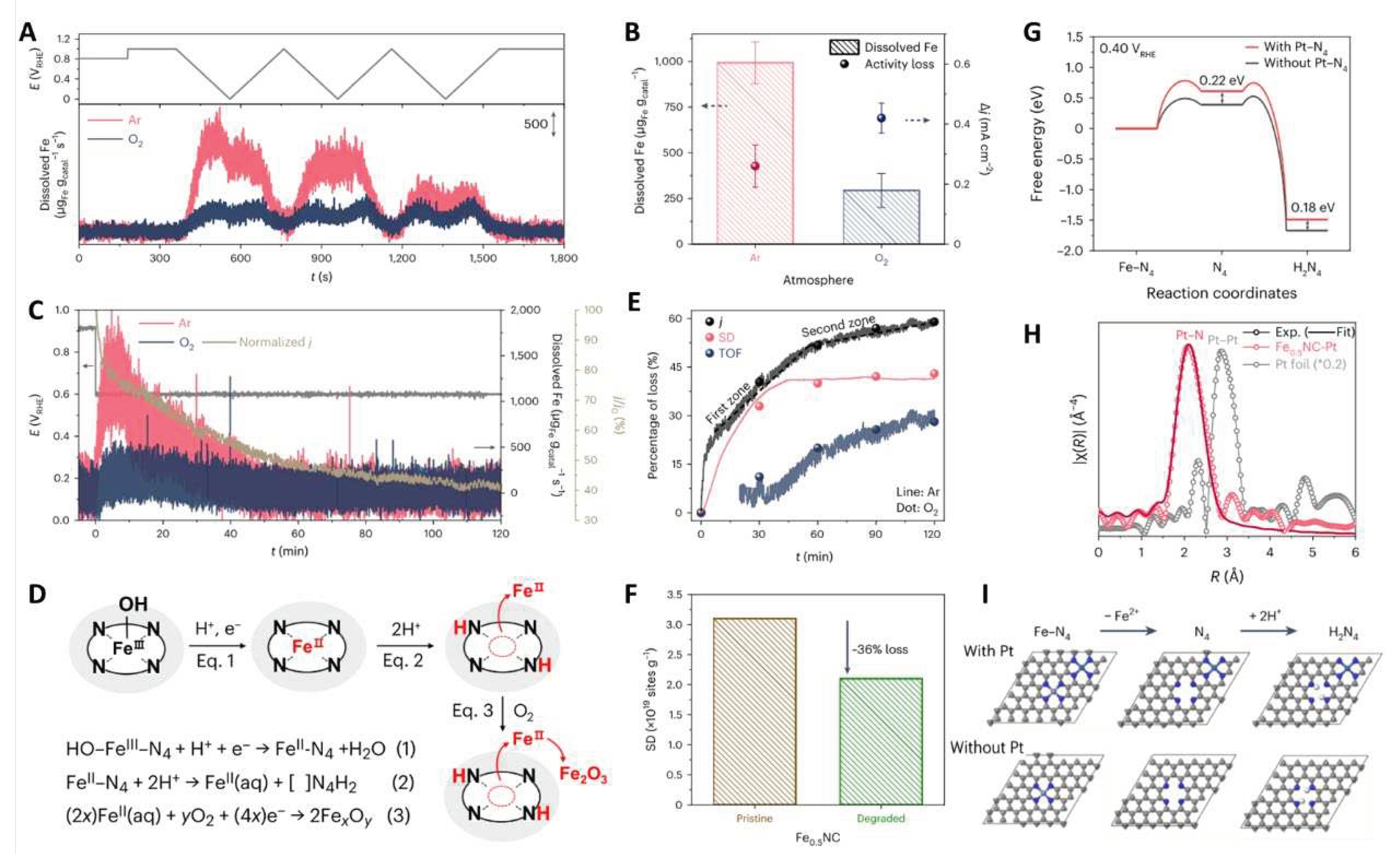 Preprints 96092 g004