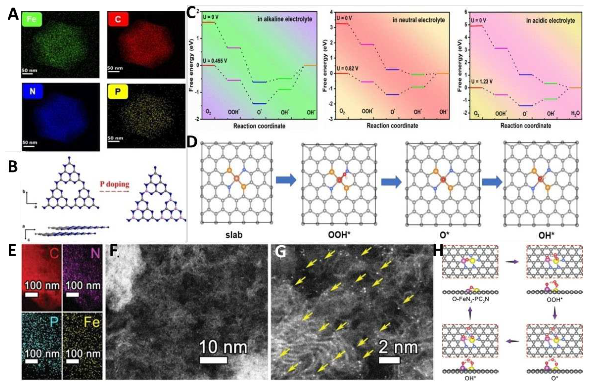 Preprints 96092 g006