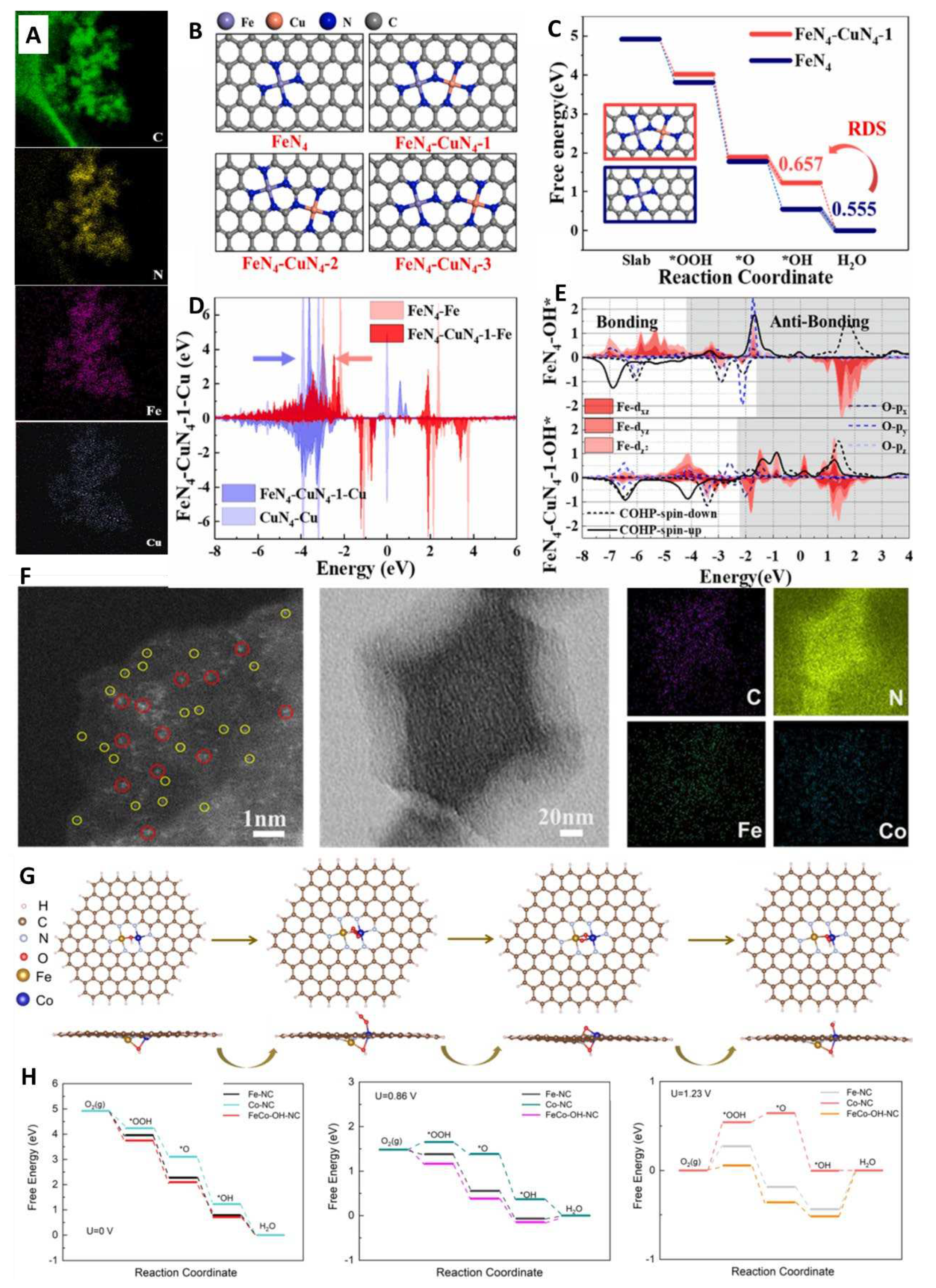 Preprints 96092 g009