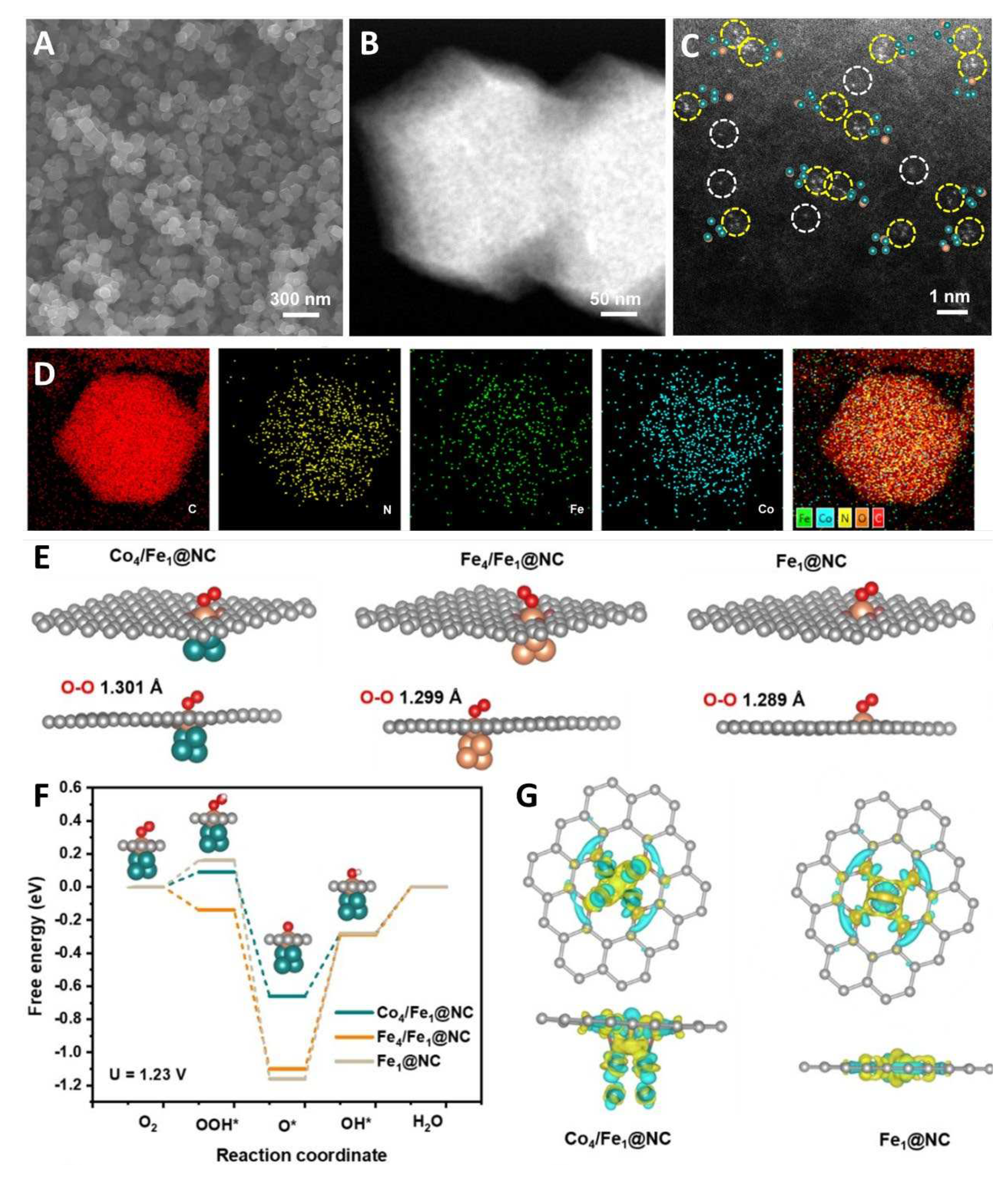 Preprints 96092 g011