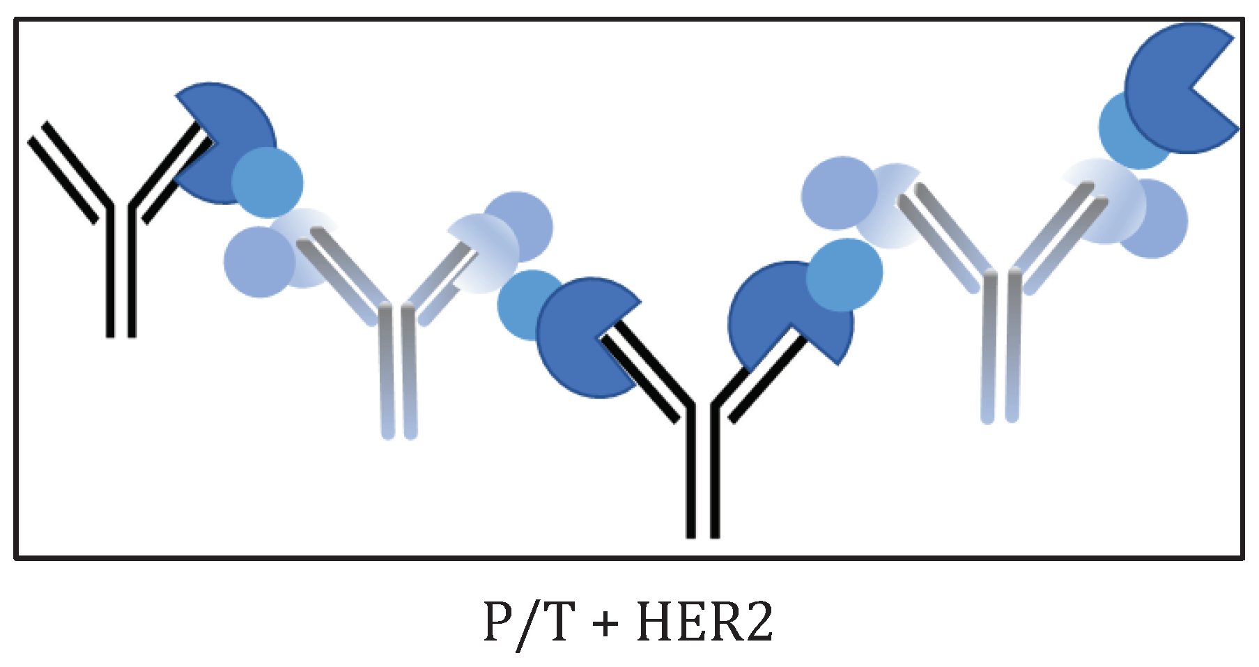 Preprints 99733 g006