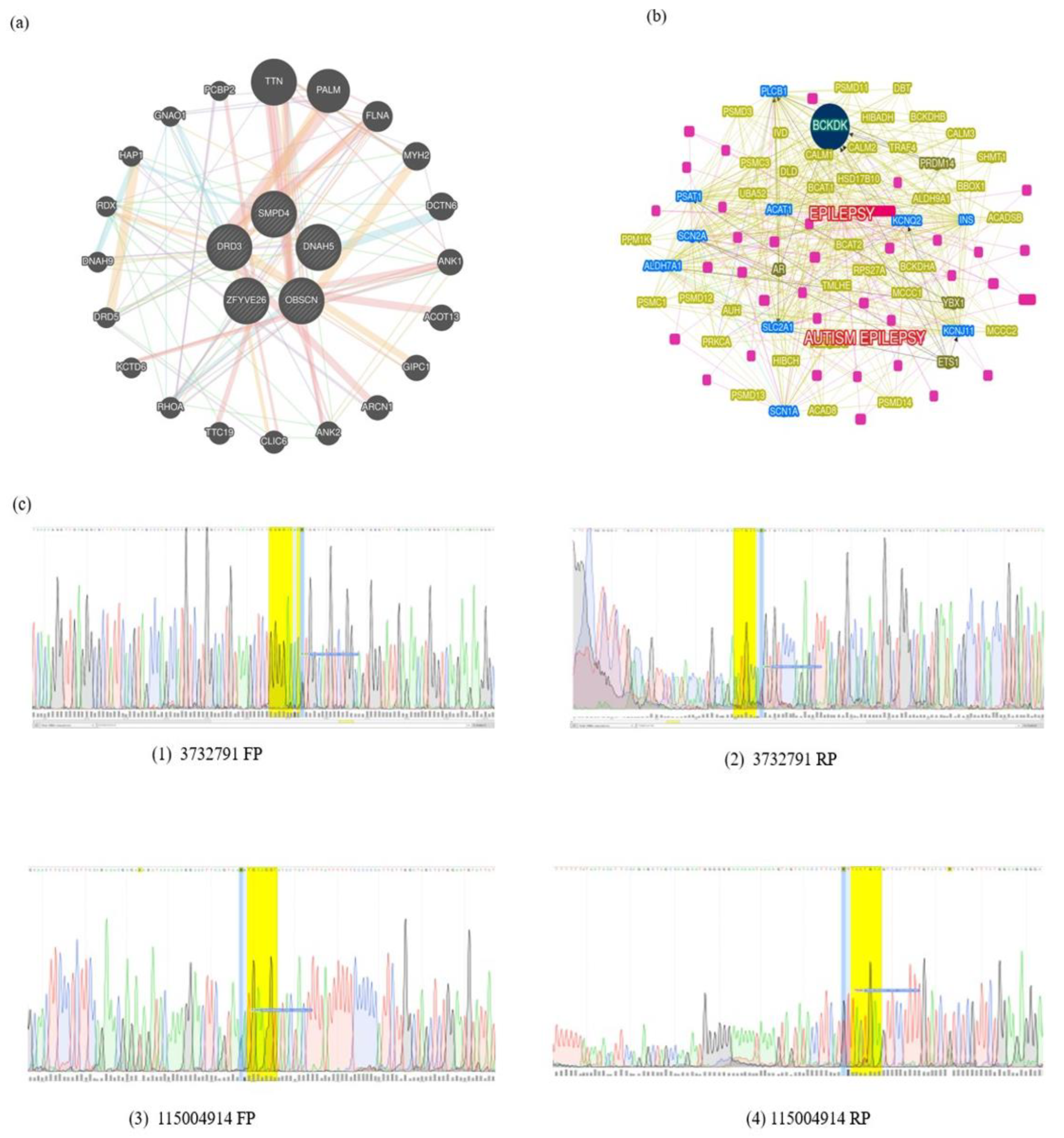 Preprints 114439 g001