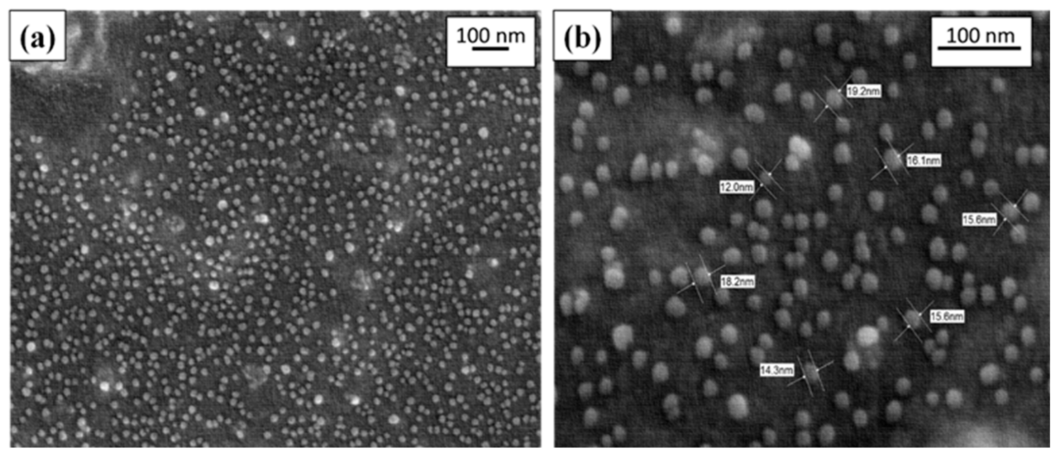 Preprints 88026 g004