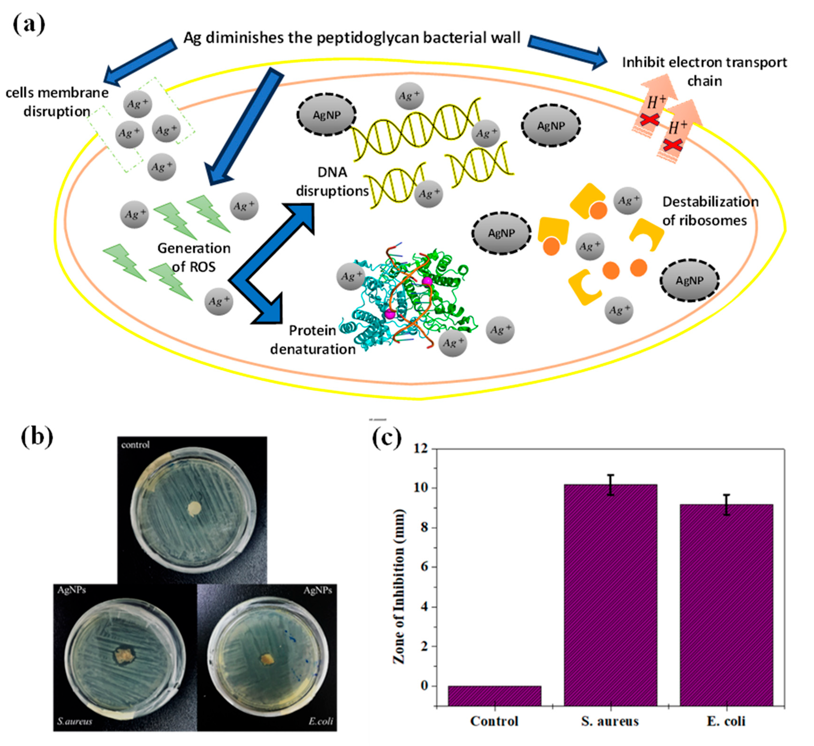 Preprints 88026 g007