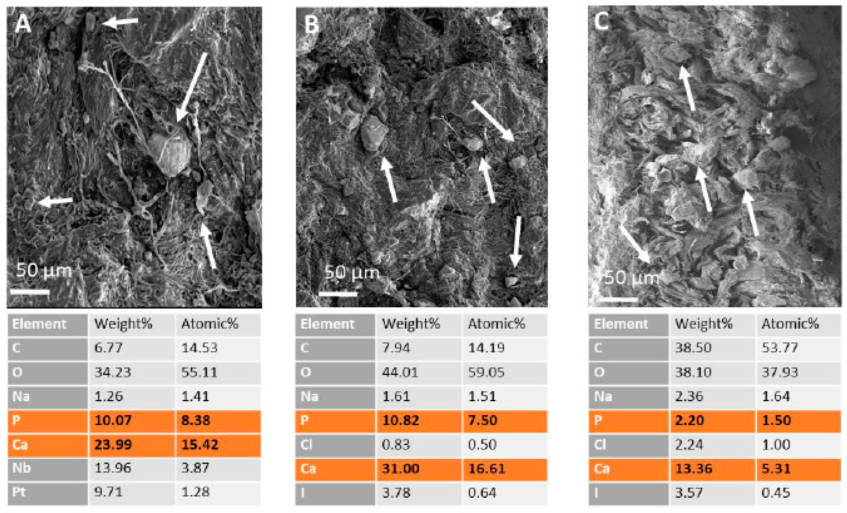 Preprints 87675 g007