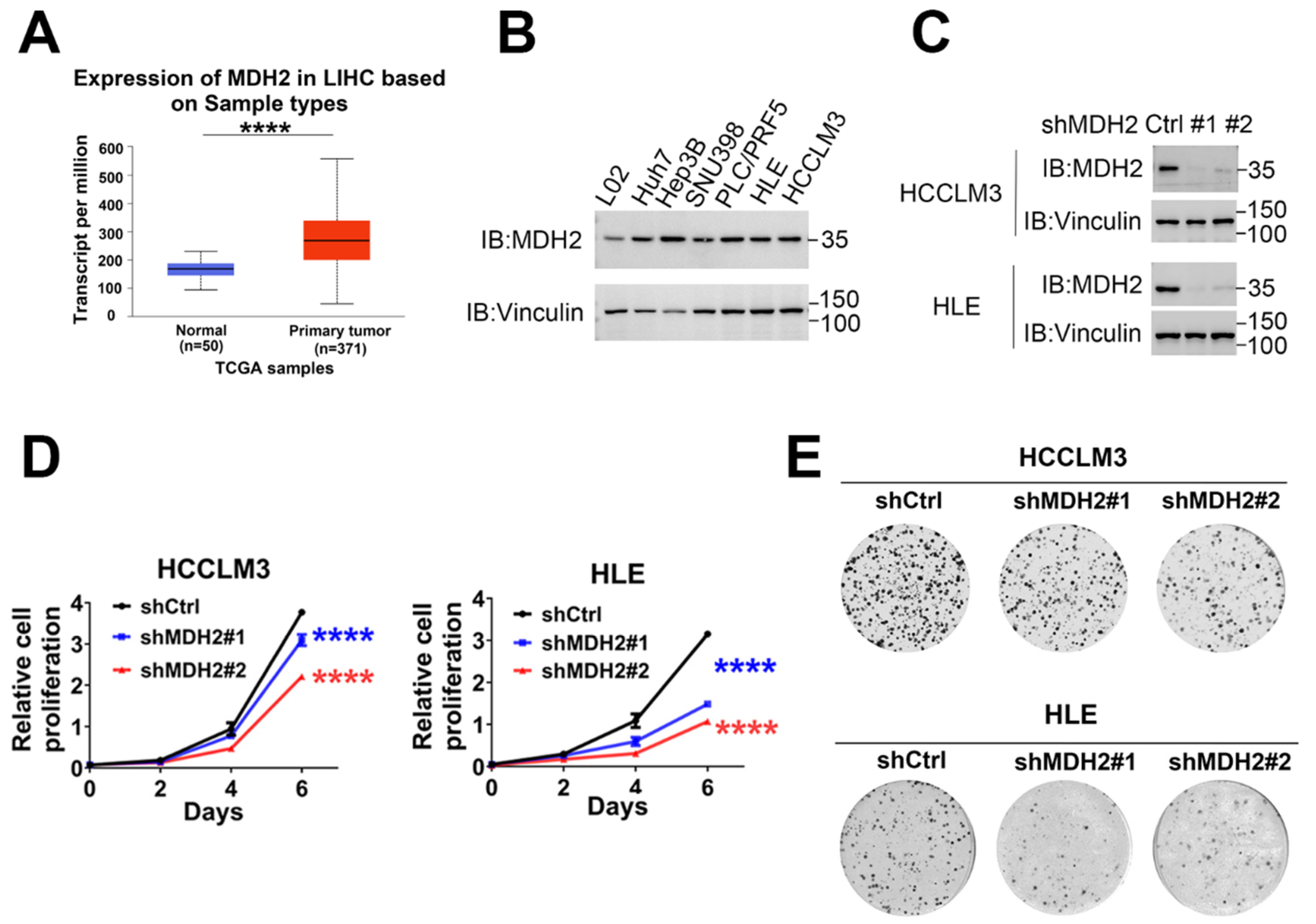 Preprints 109600 g001