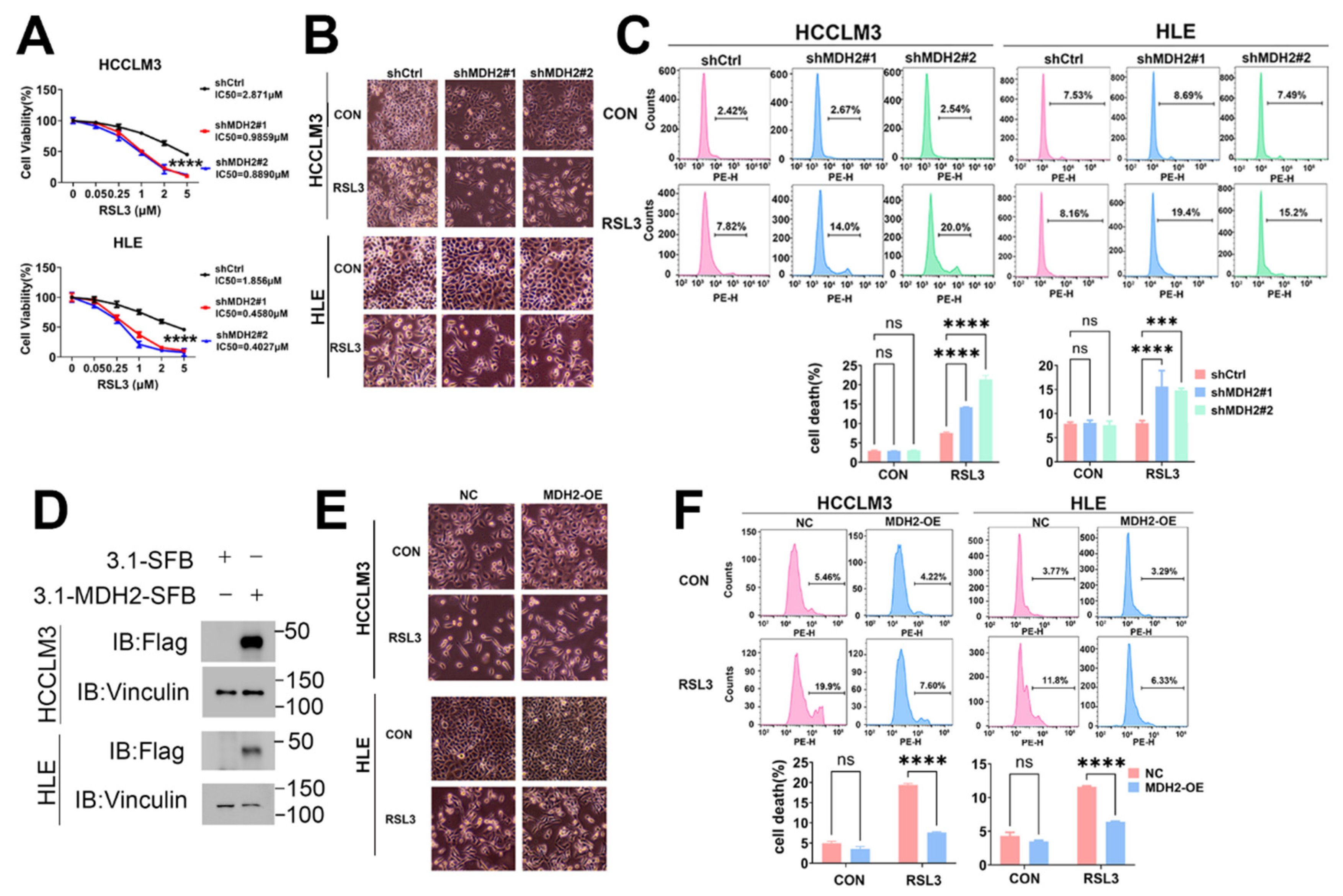 Preprints 109600 g002