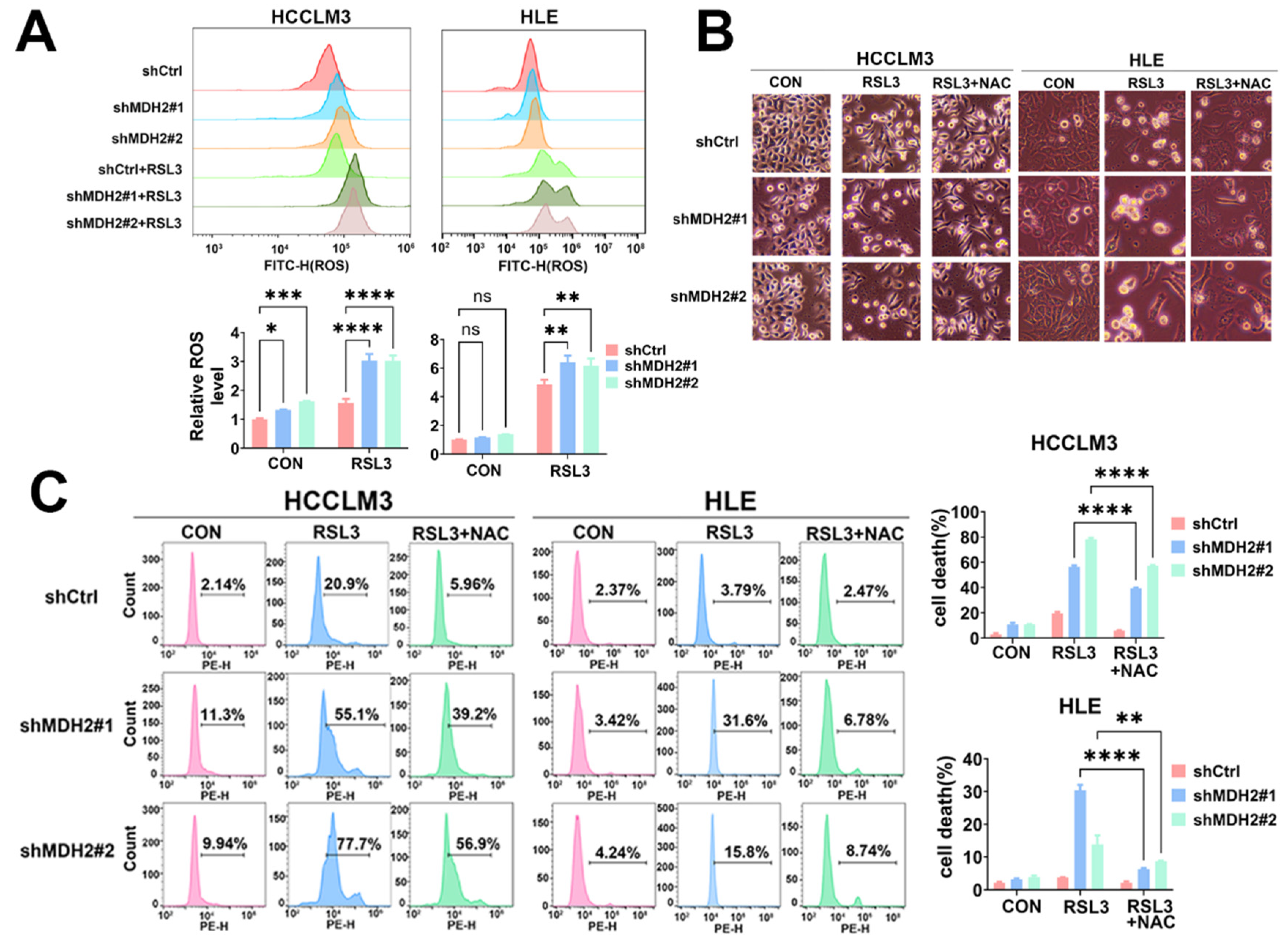 Preprints 109600 g003