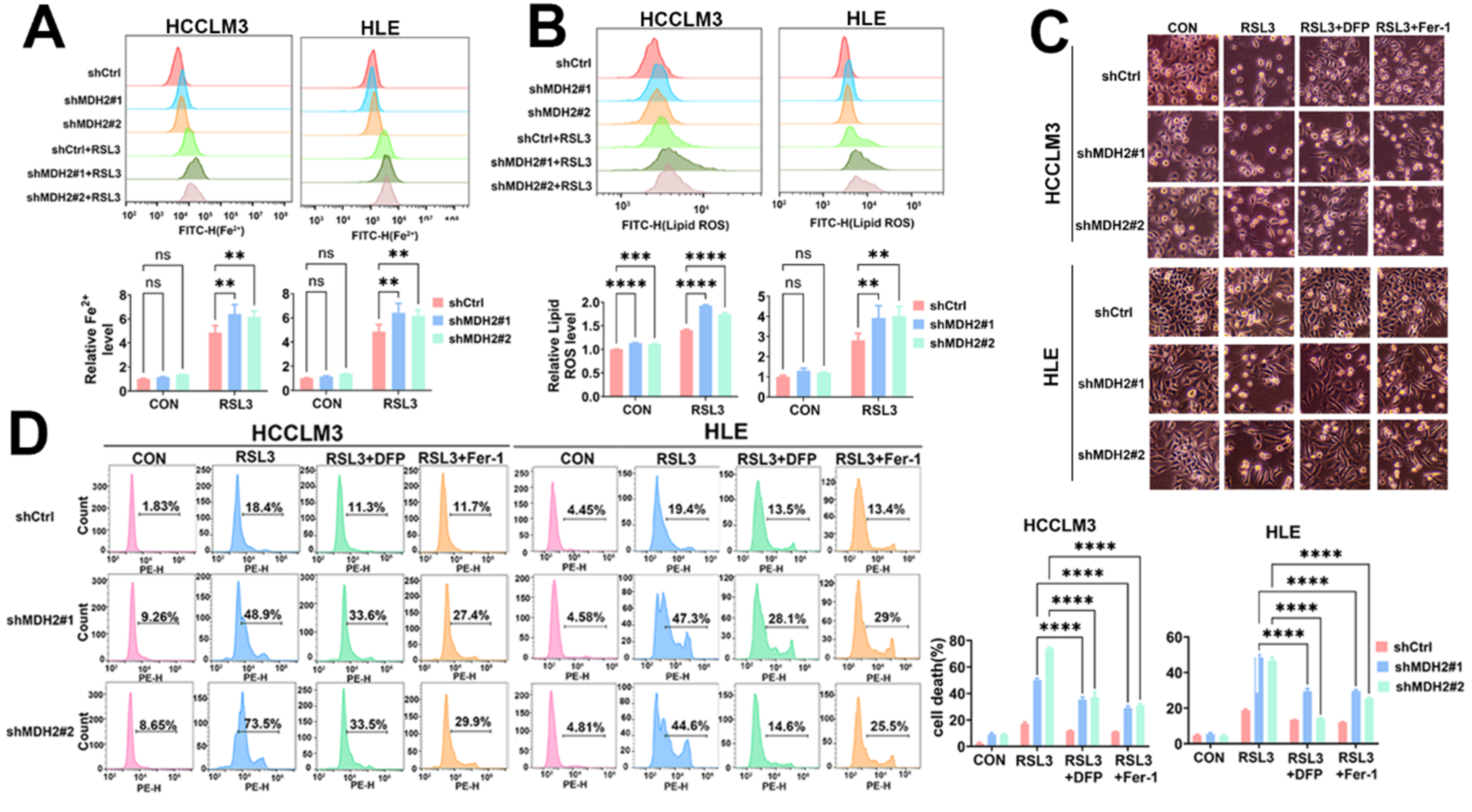 Preprints 109600 g004