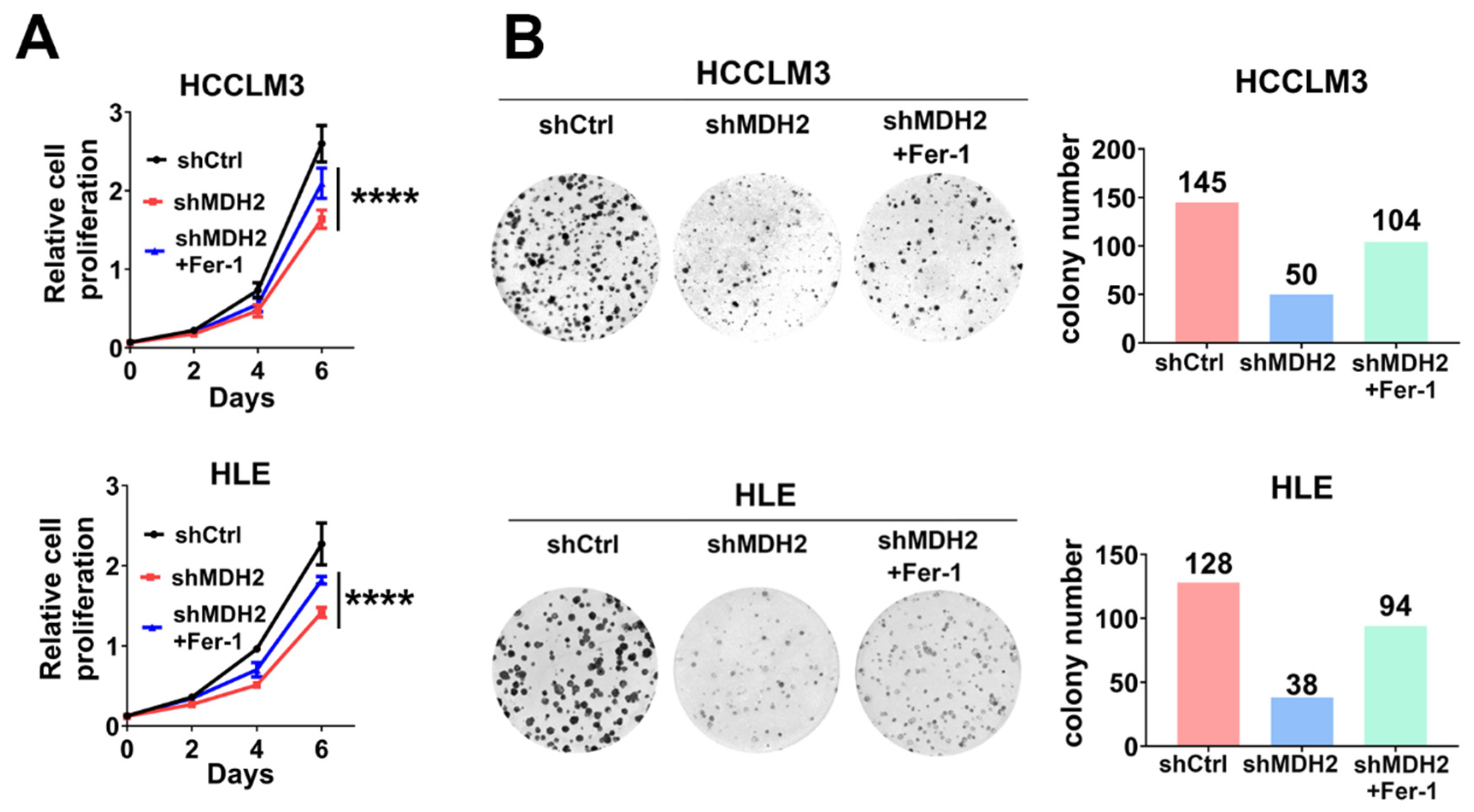 Preprints 109600 g005