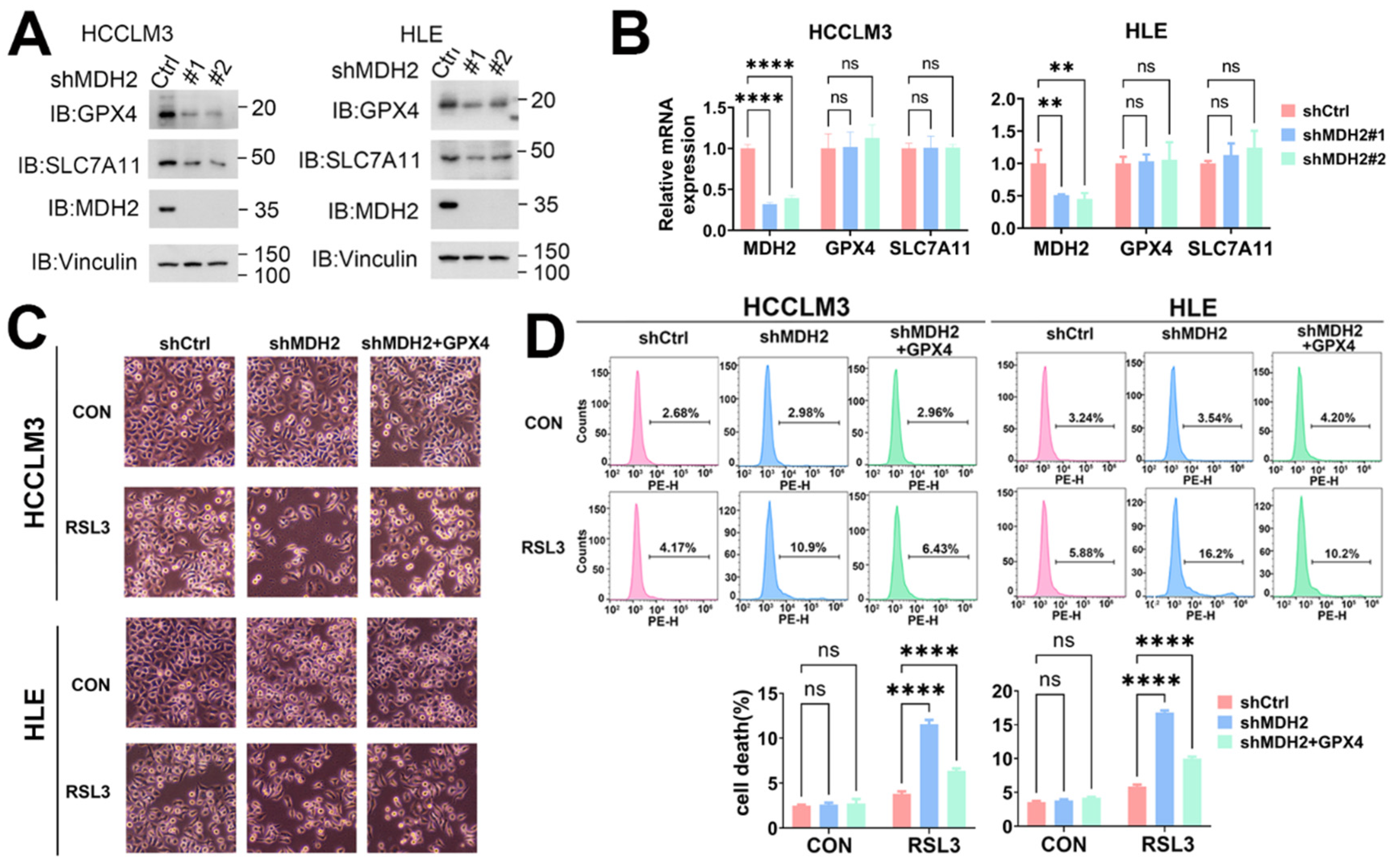 Preprints 109600 g006