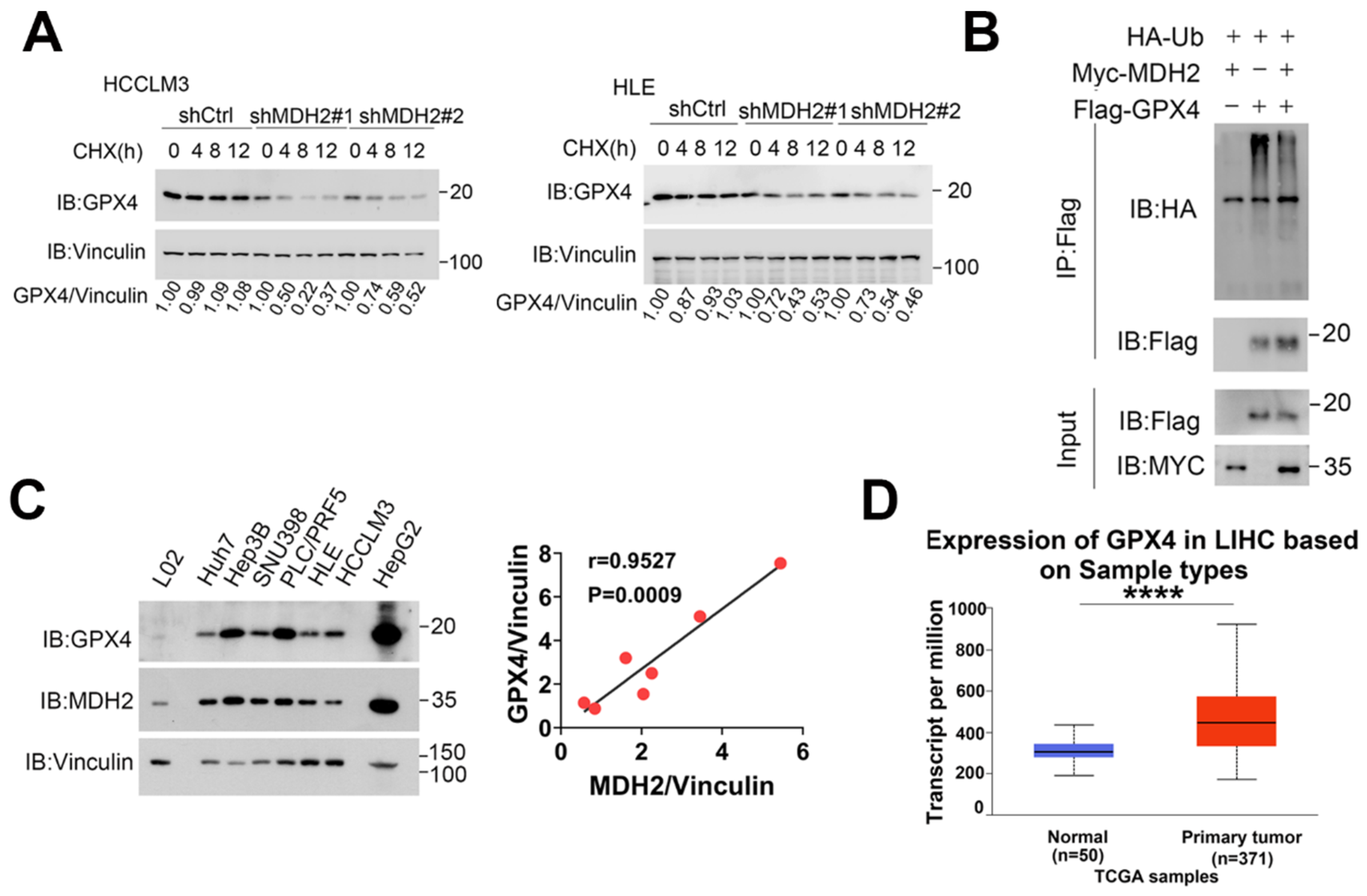 Preprints 109600 g007