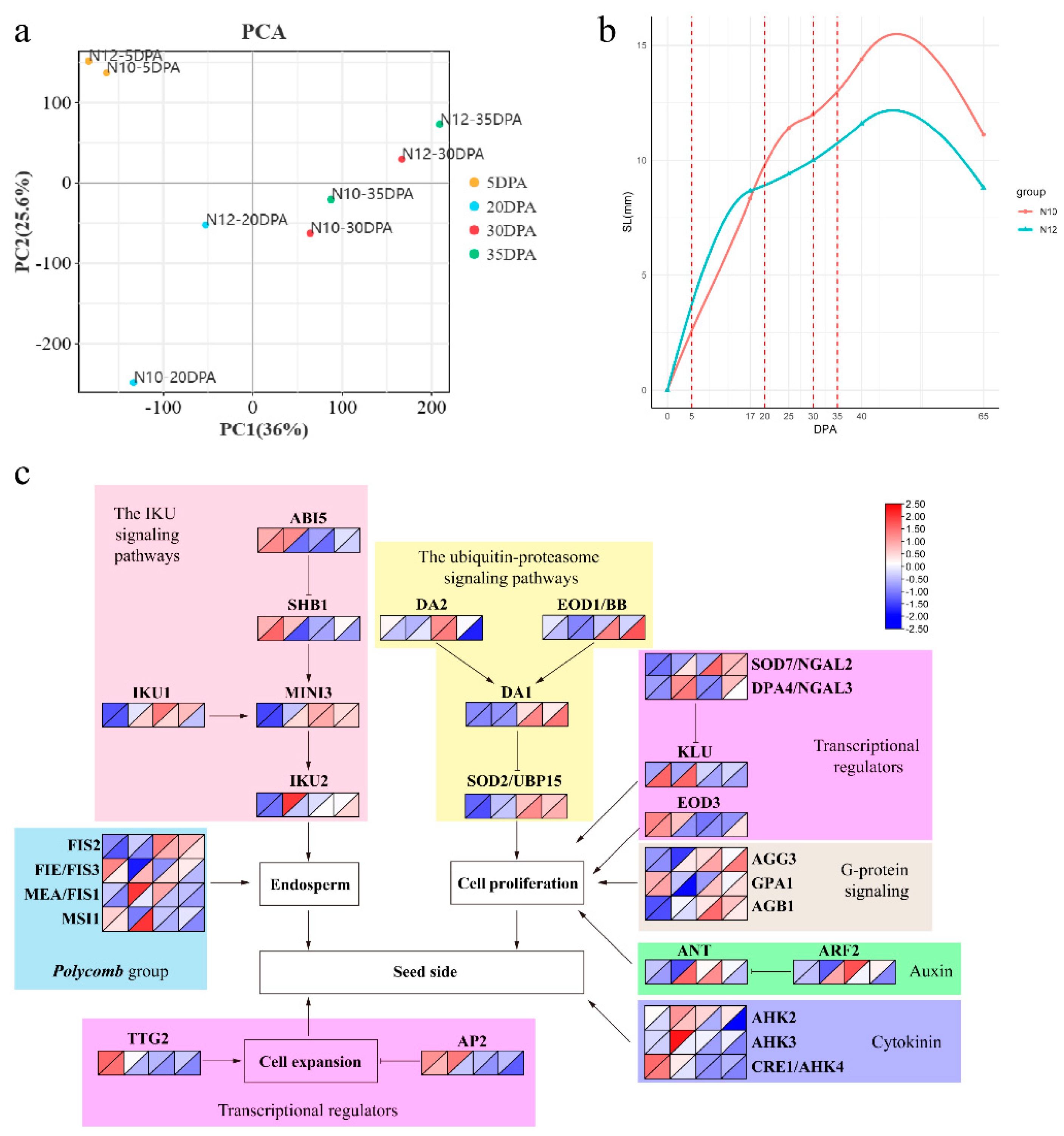 Preprints 115713 g002