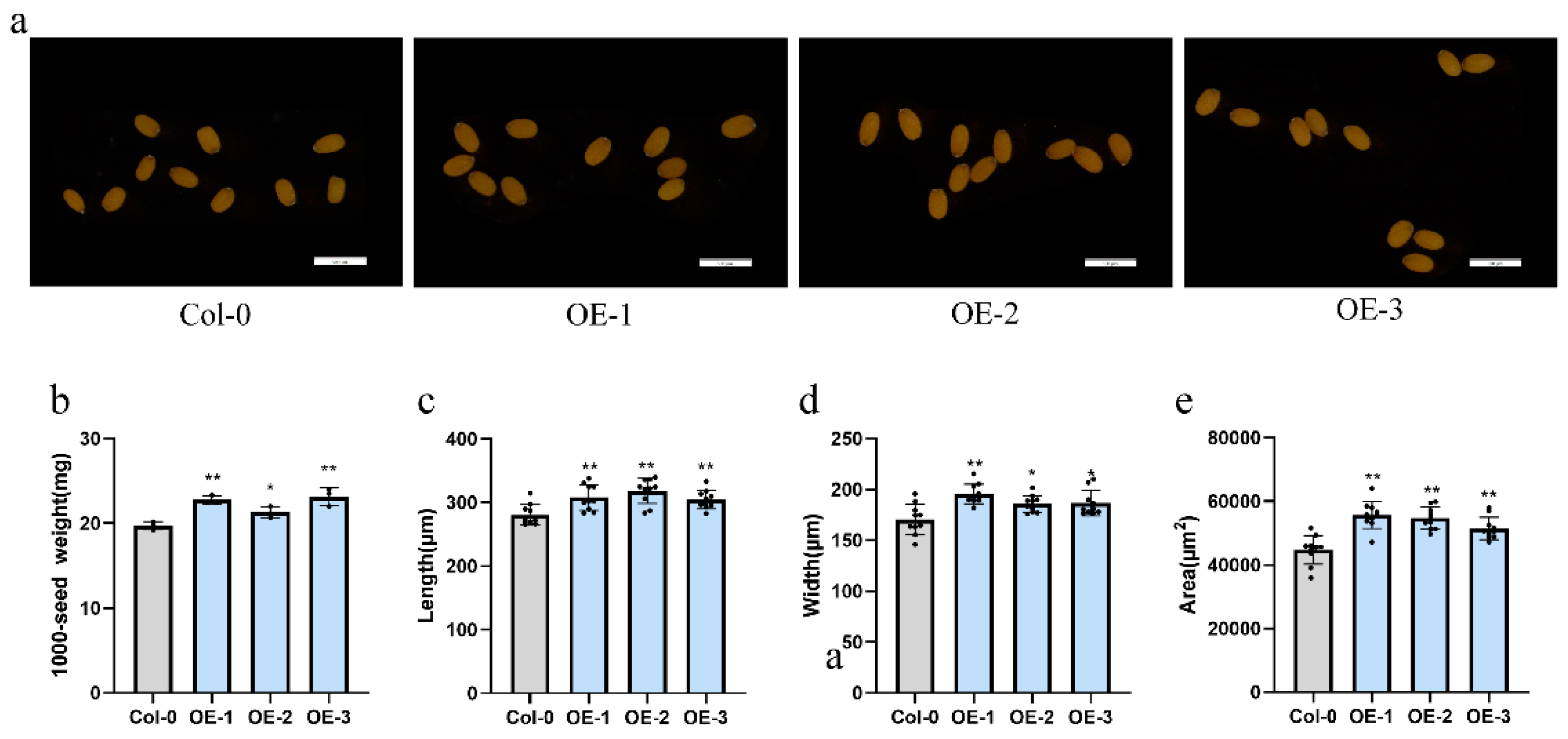 Preprints 115713 g005