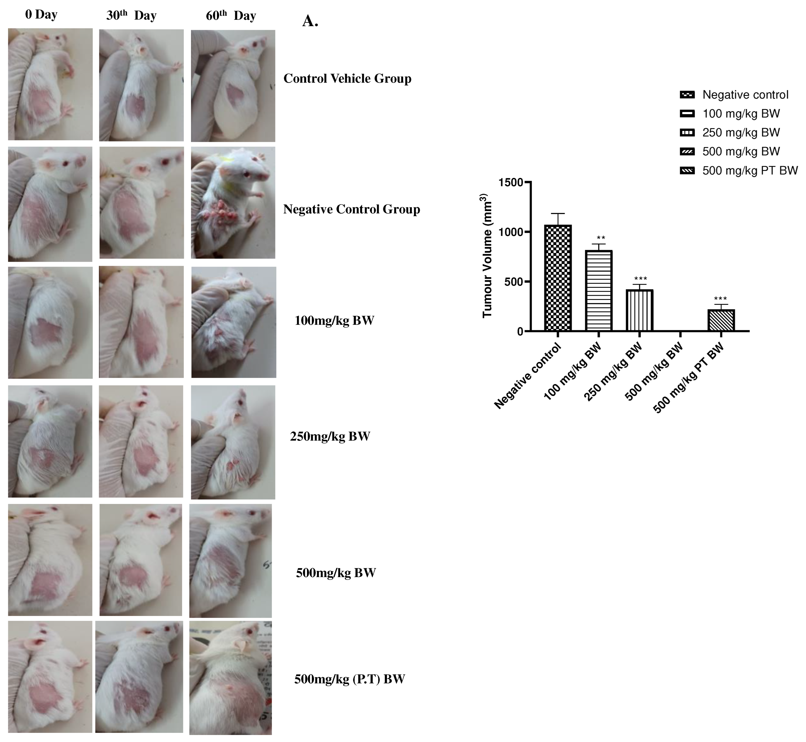 Preprints 90824 g003